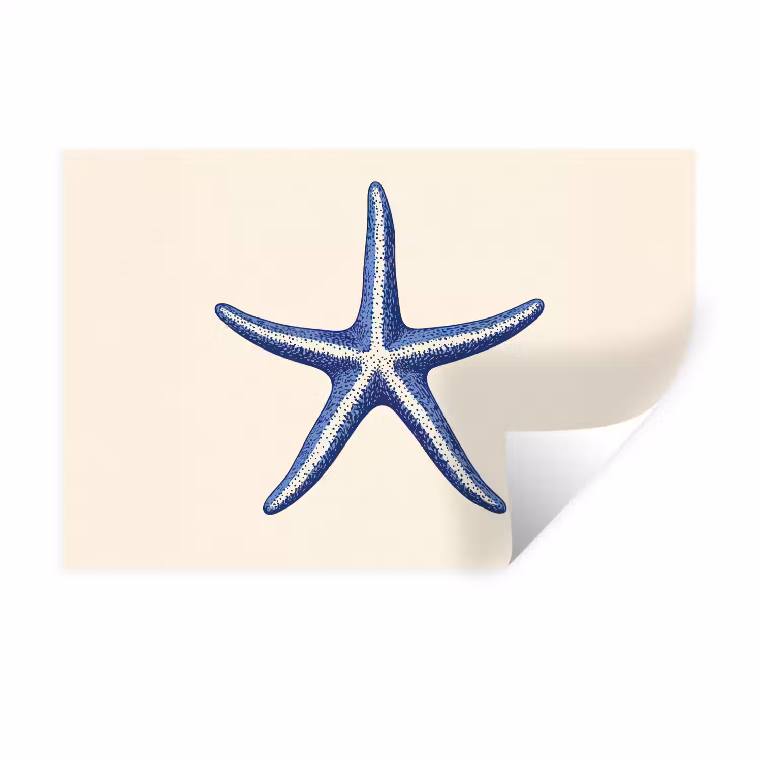 Blauwe zeester - Minimalistisch - Beige Muursticker klein -3d
