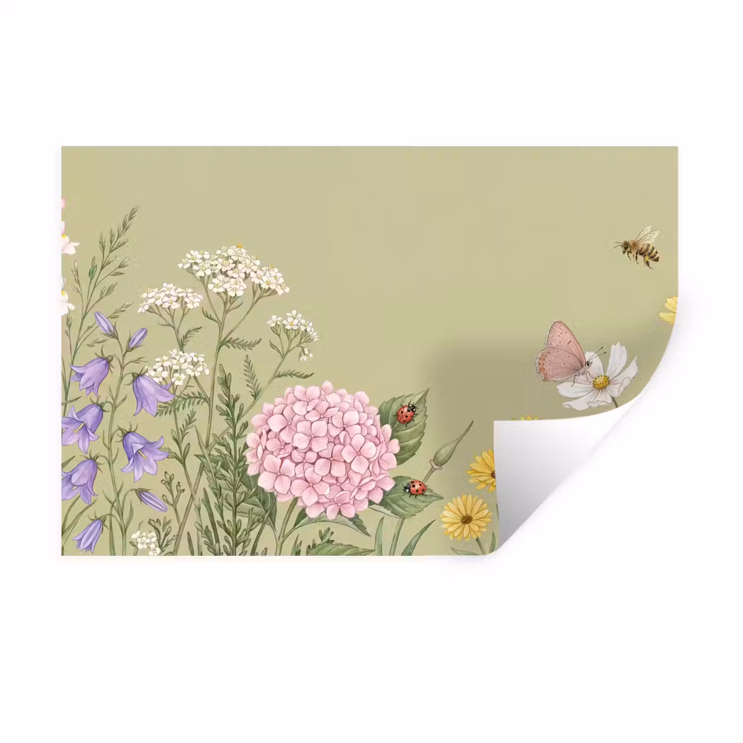 Botanisch - Bloemen - Kleurrijk Muursticker klein -3d