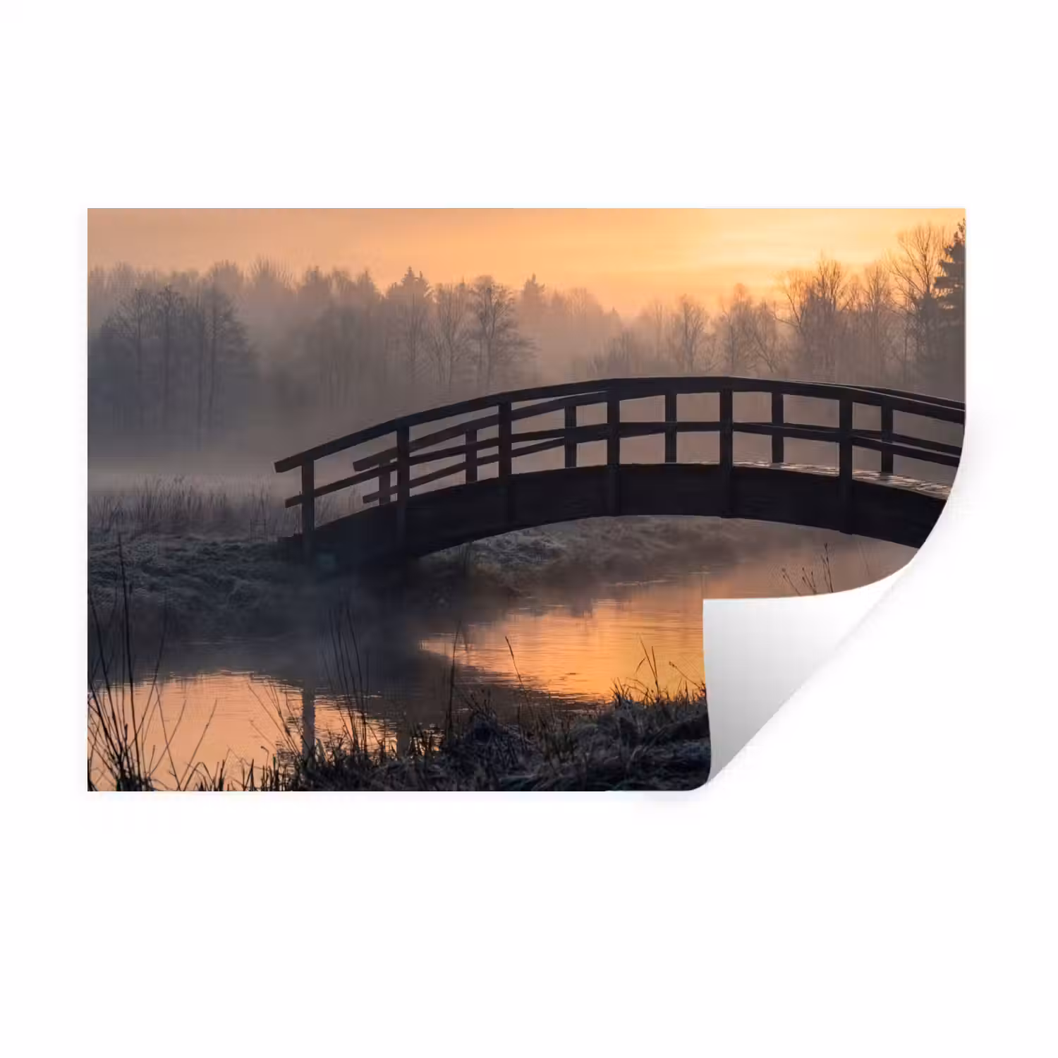 Brug - Mist - Bomen - Water Muursticker klein -3d