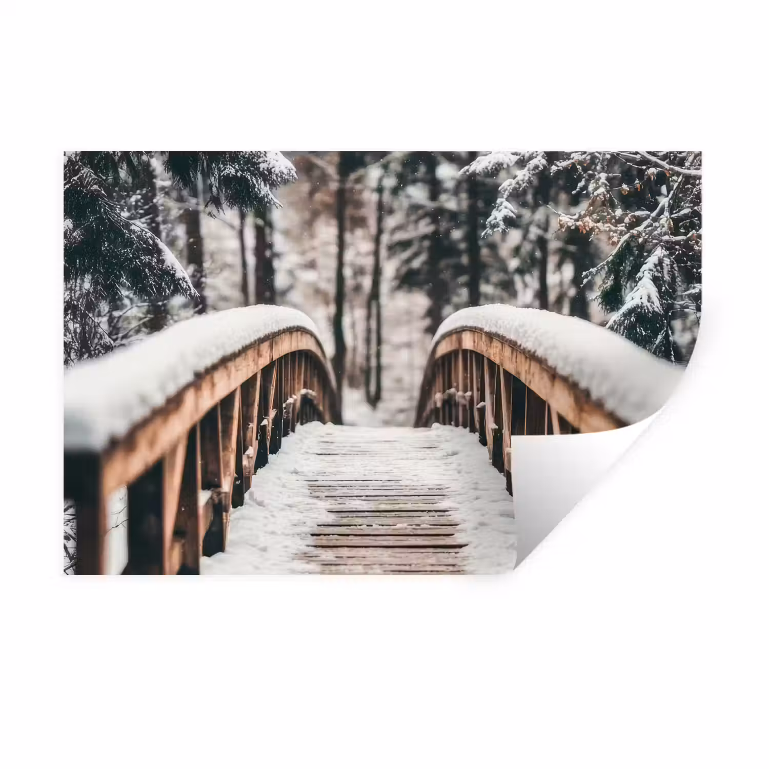 Brug - Winterlandschap - Bos - Natuur - Sneeuw Muursticker klein -3d