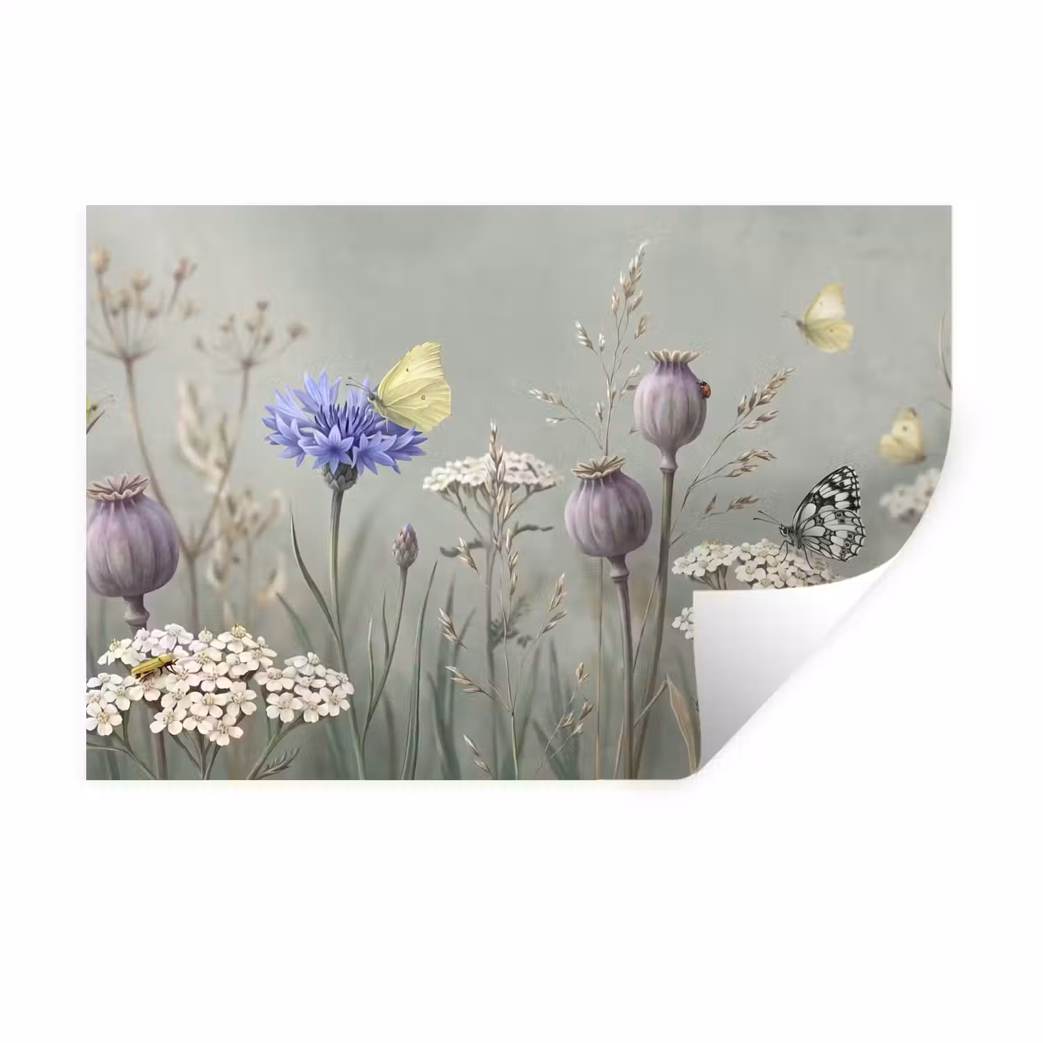 Vlinders - Wildbloemen - Illustratie - Kleurrijk Muursticker klein -3d