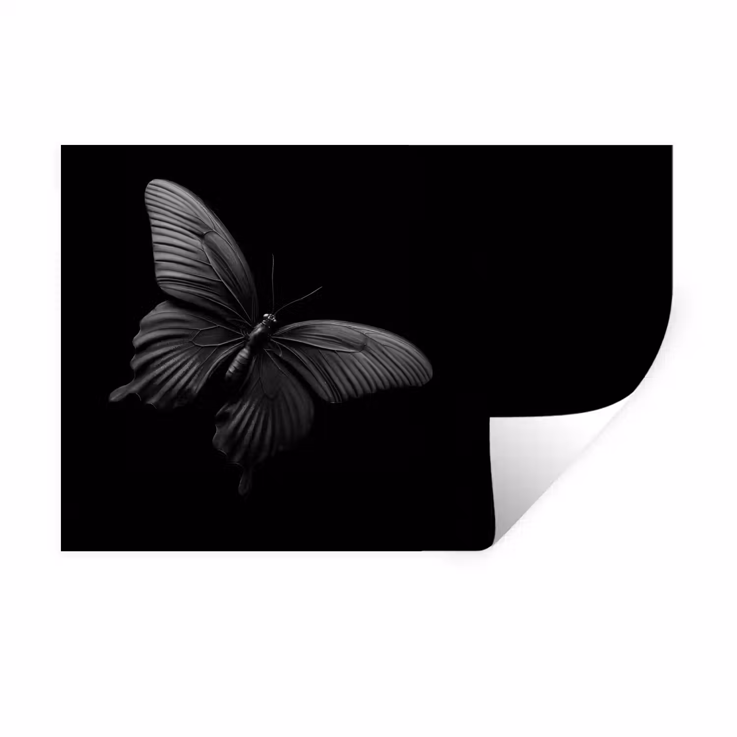 Vlinder - Zwart - Insect - Dieren Muursticker klein -3d