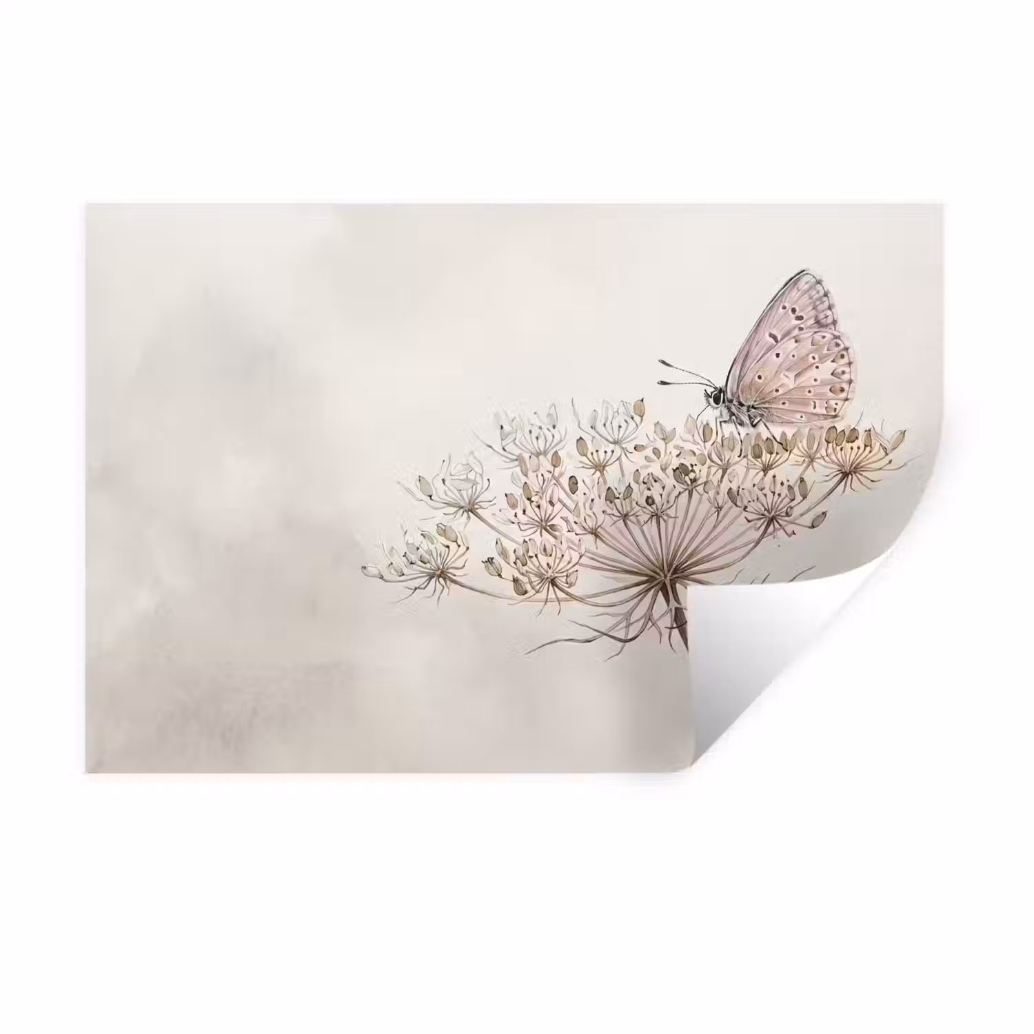 Vlinder - Bloem -Natuur - Beige Muursticker klein -3d