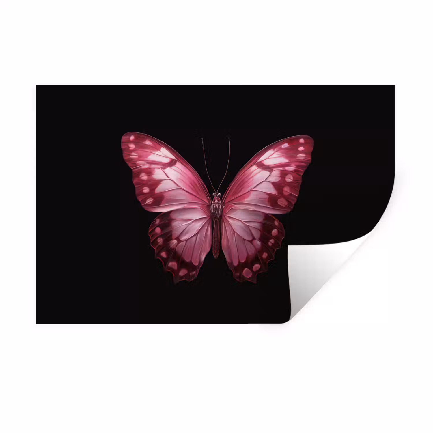 Vlinder - Fuchsia - Grafisch Muursticker klein -3d