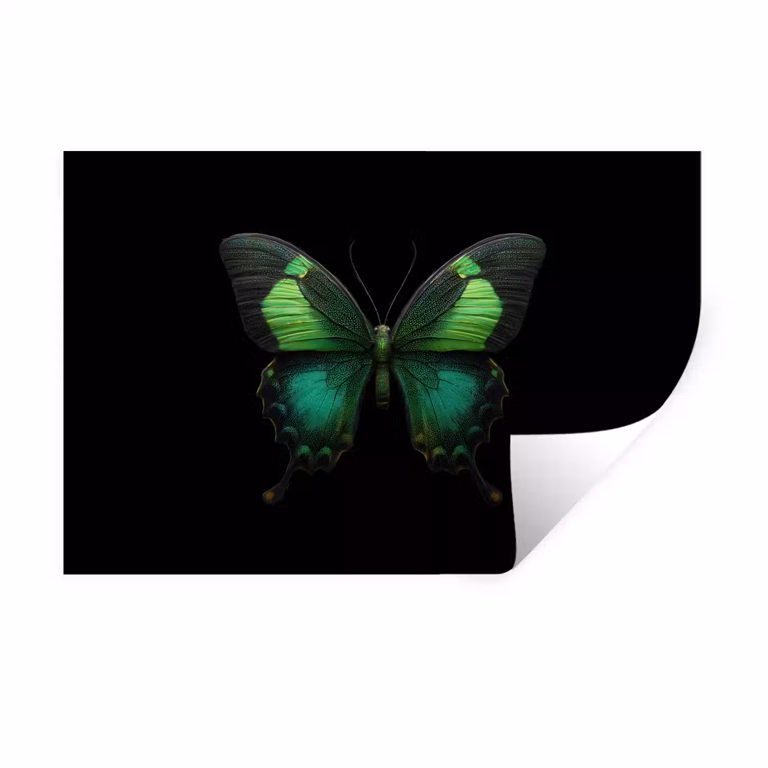 Vlinder - Groen - Opvallend Muursticker klein -3d