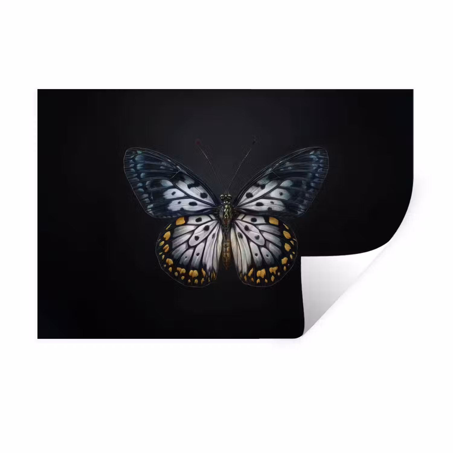 Vlinder - Monochroom - Balans Muursticker klein -3d