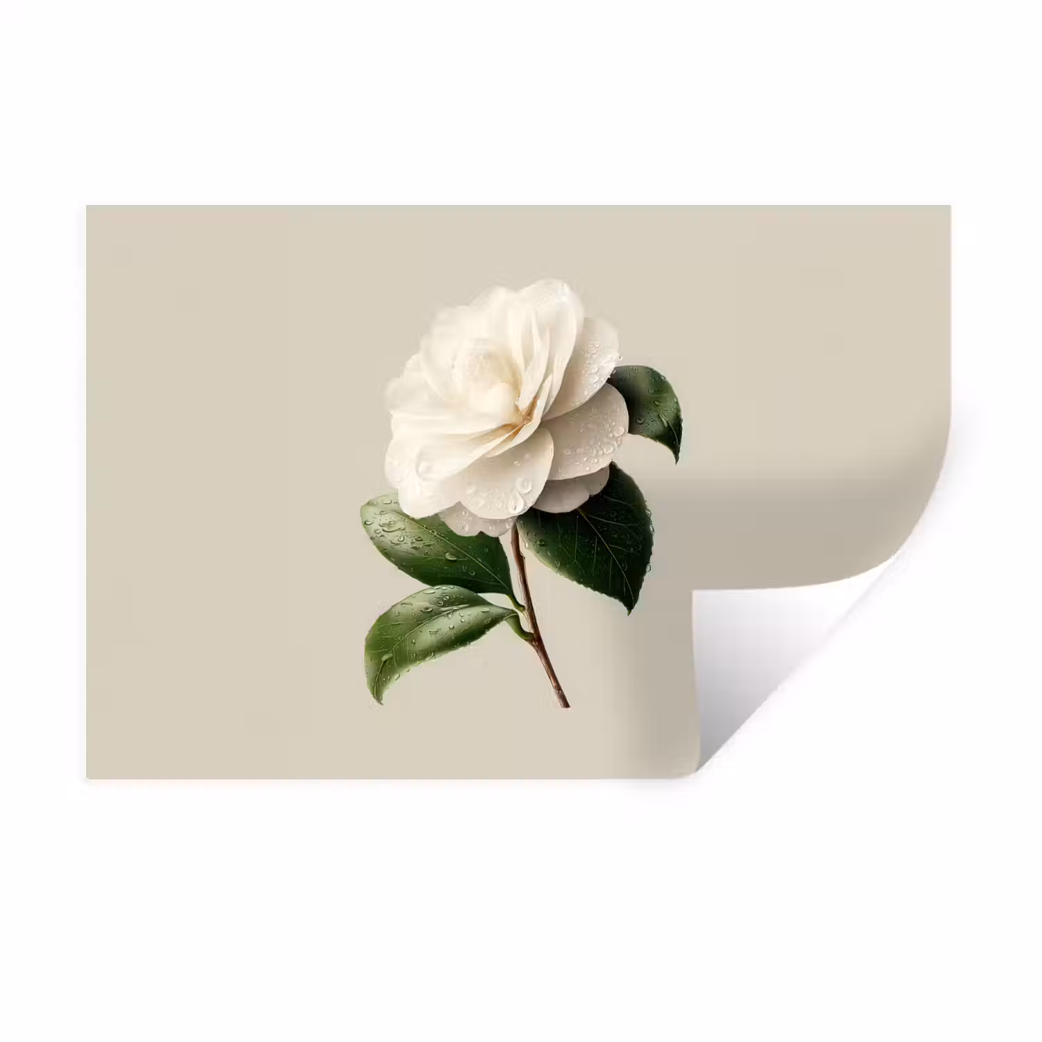 Cameliabloem - Wit - Groen Muursticker klein -3d