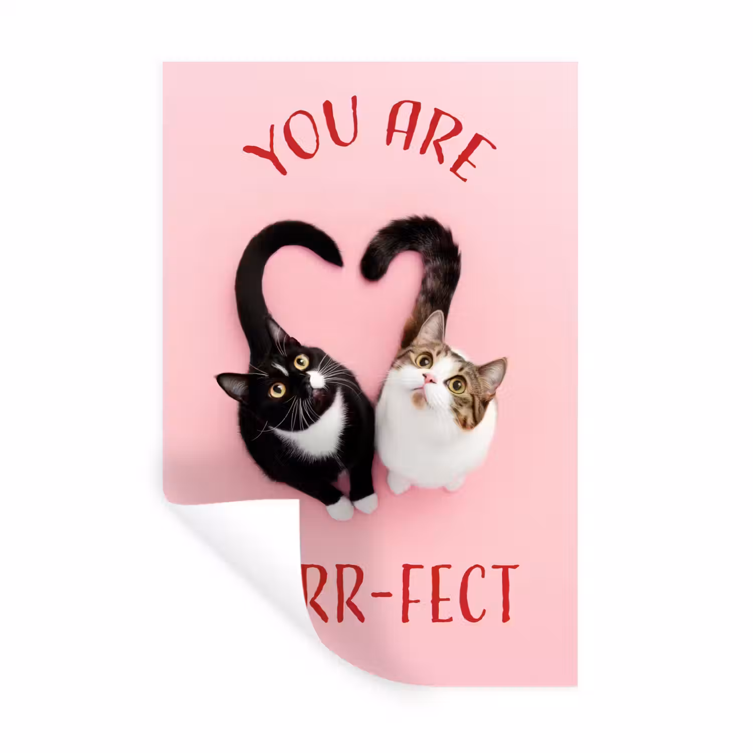 Kat - Hart - Tekst - Valentijn Muursticker klein -3d