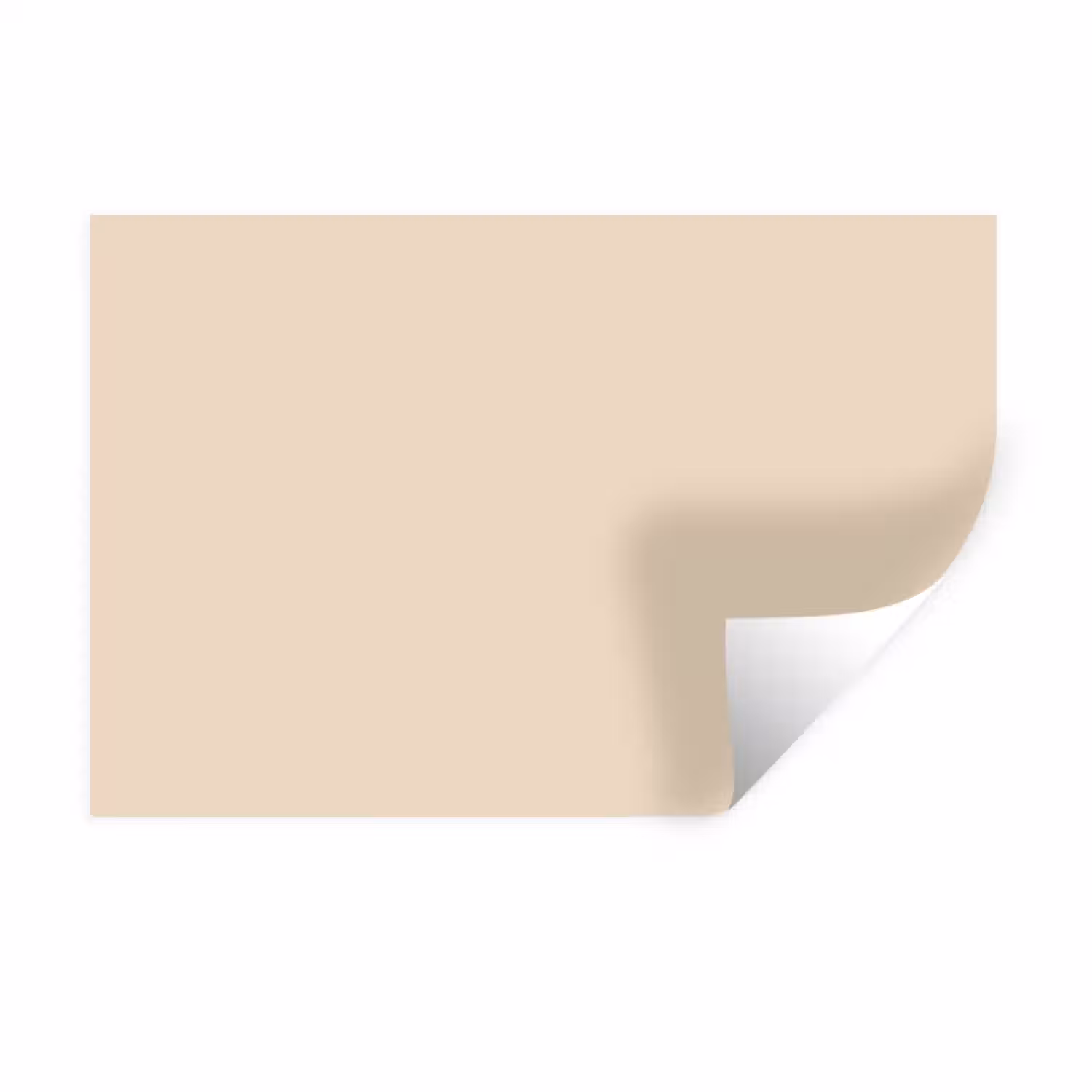 Cream - Nude - Neutraal Muursticker klein 286 -3d