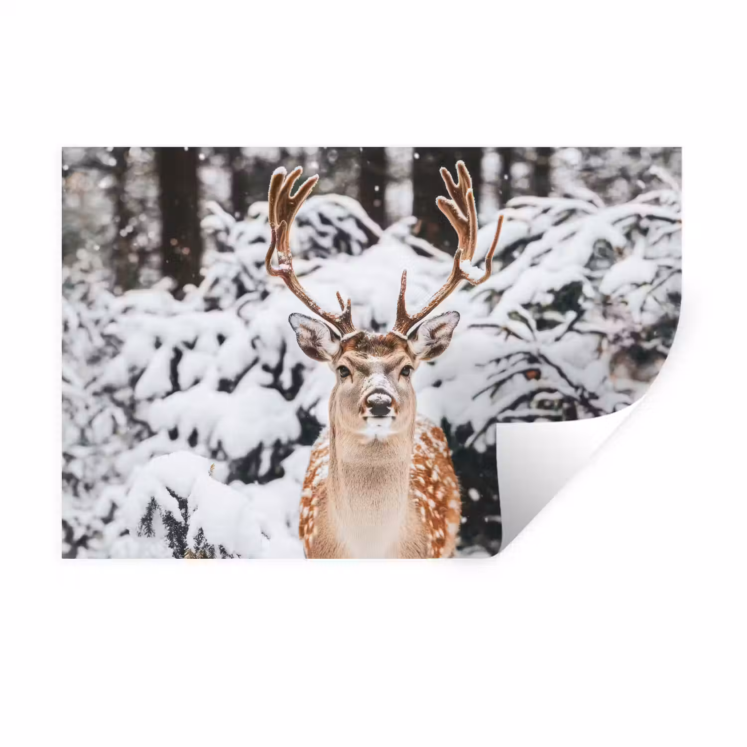 Hert - Sneeuw - Winter - Bos - Dieren Muursticker klein -3d