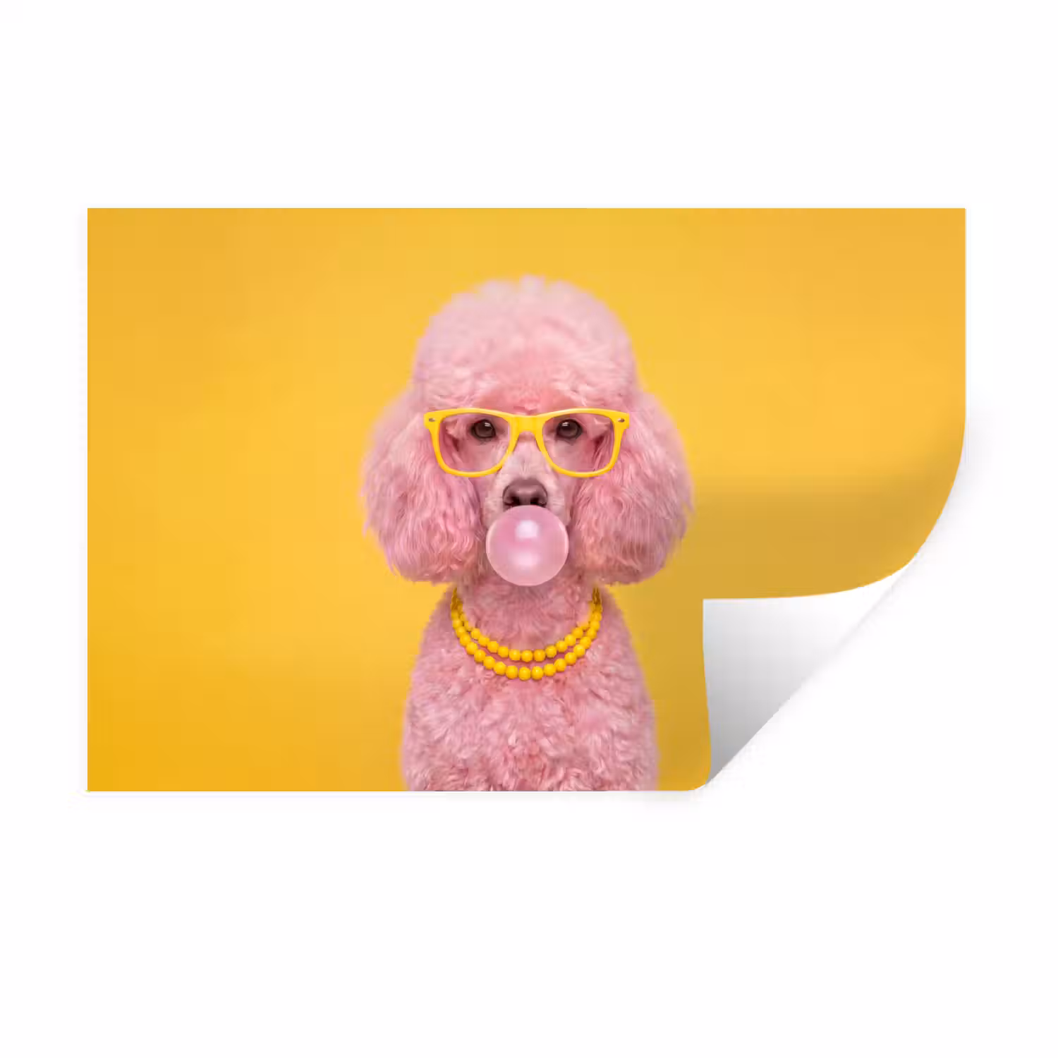 Hond - Kauwgum - Dieren - Modern - Roze Muursticker klein -3d