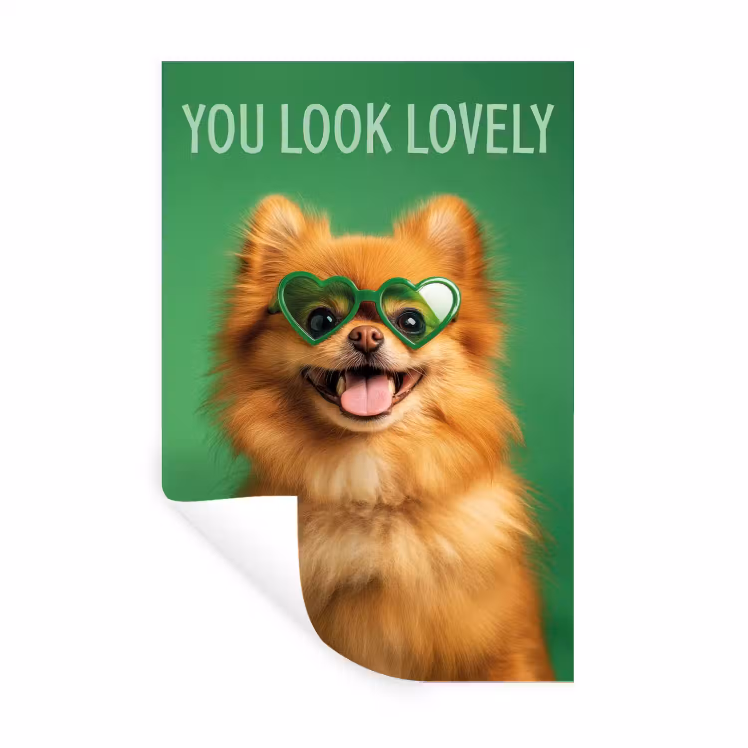 Hond - Zonnebril - Valentijn - Love Muursticker klein -3d