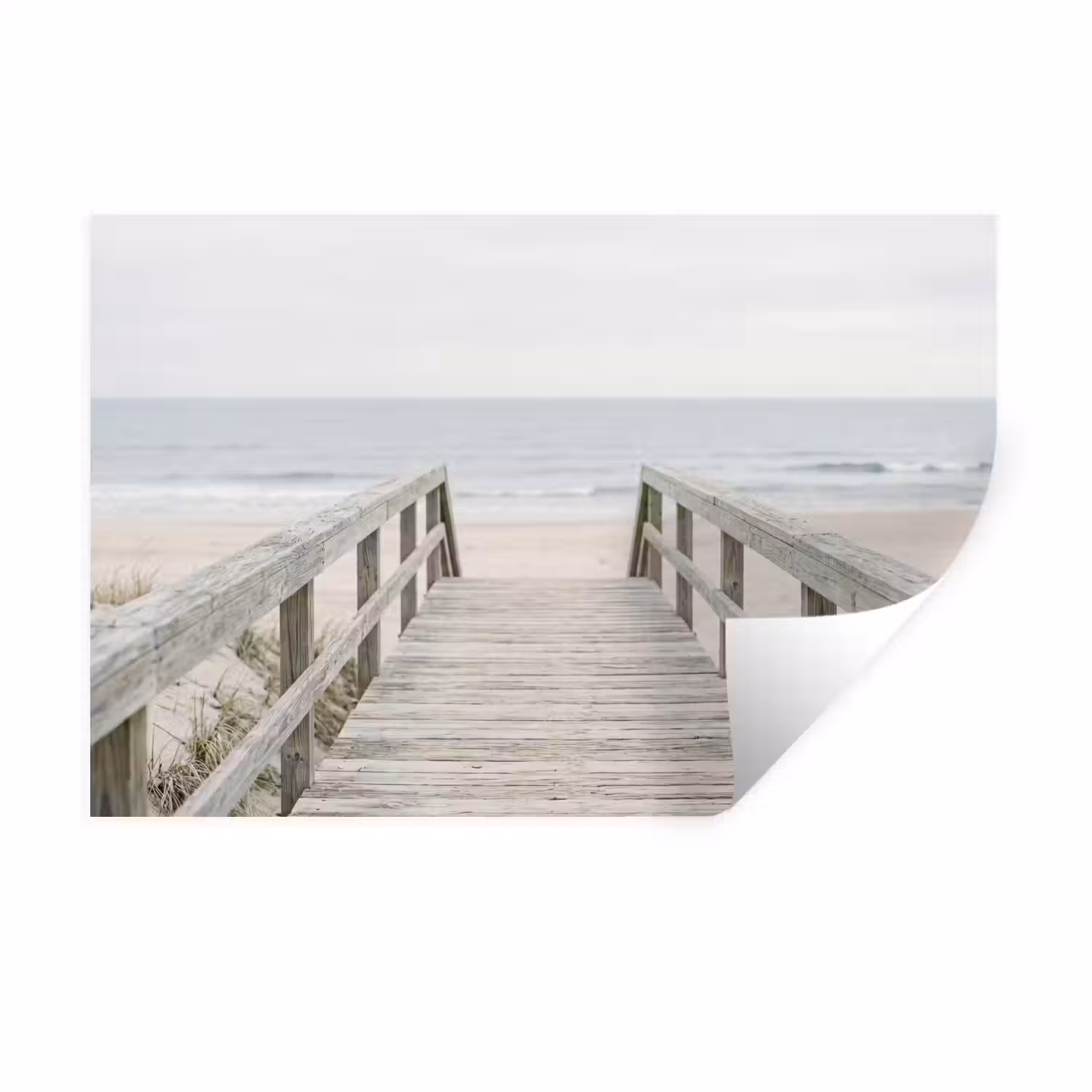 Duinen - Vlonder - Oceaan Muursticker klein -3d