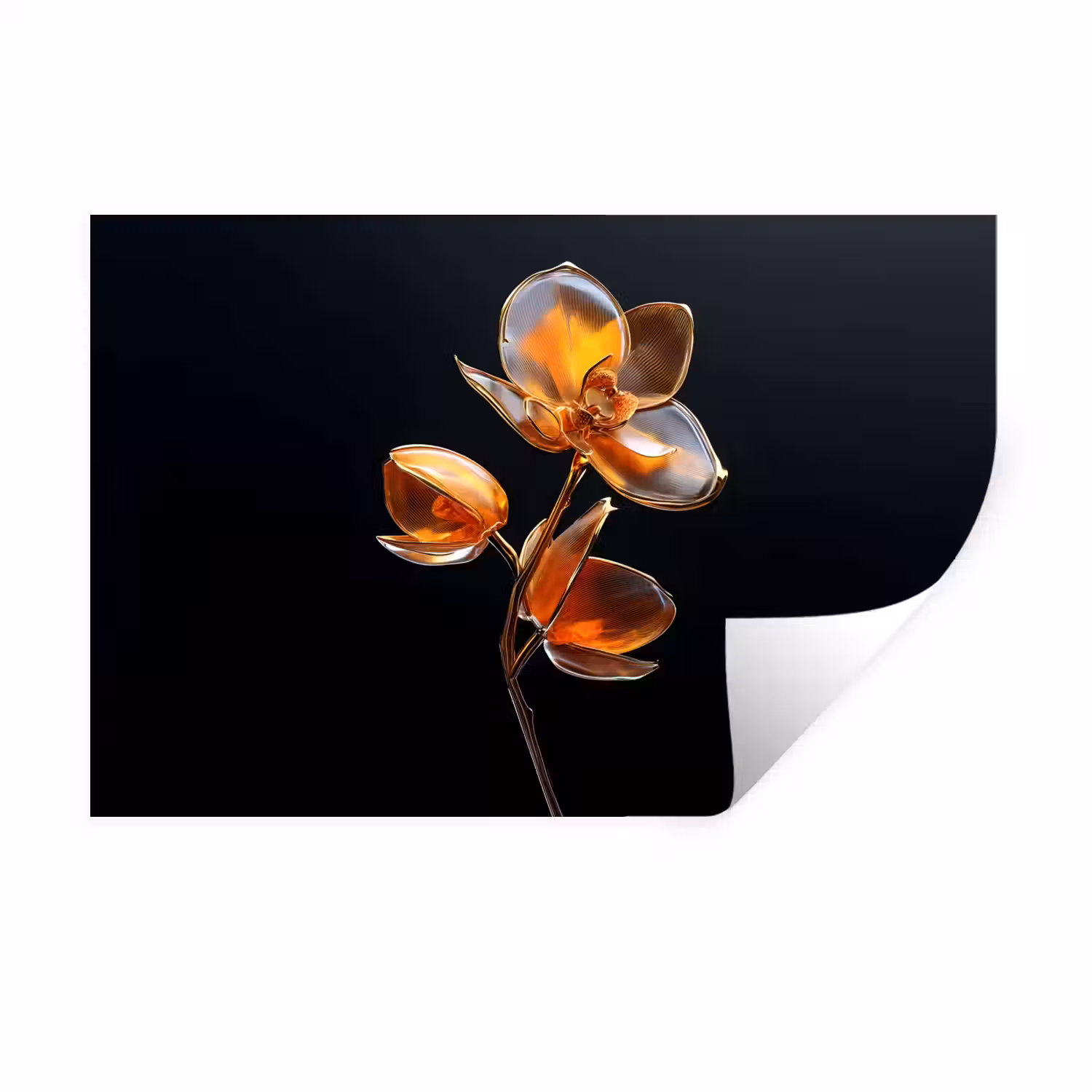 Bloem - Orchidee - Oranje Muursticker klein -3d