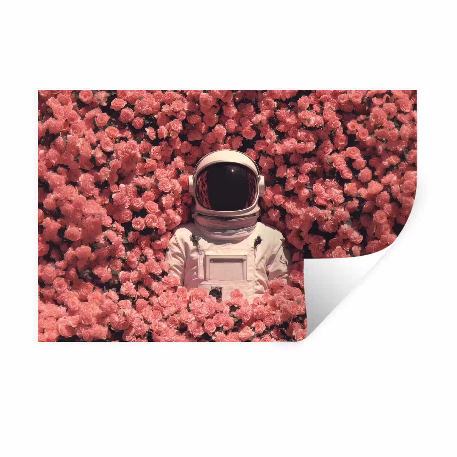 Bloemen - Roze - Astronaut Muursticker klein -3d