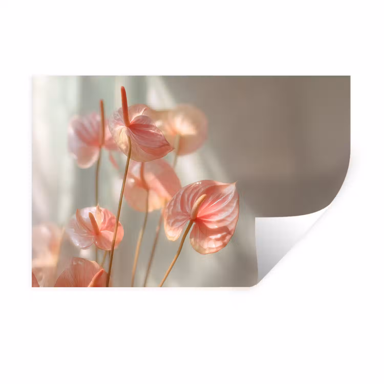 Bloemen - Stelen - Roze - Schaduw Muursticker klein -3d
