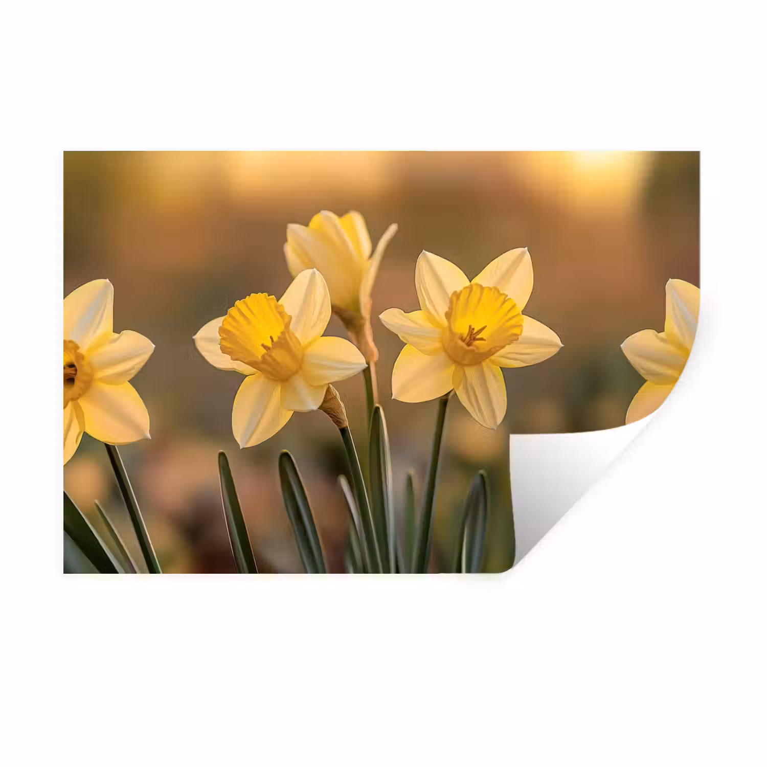 Bloemen - Geel - Wazig Muursticker klein -3d