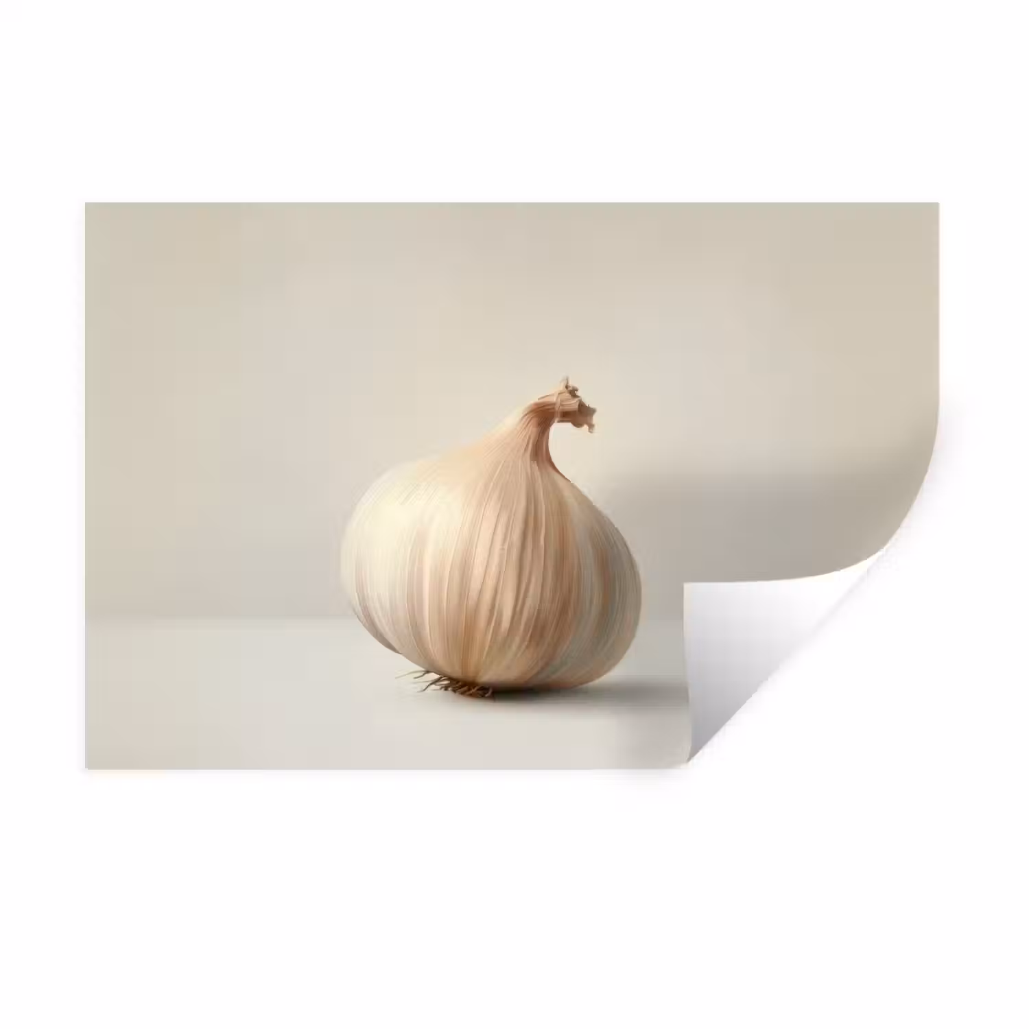 Knoflook - Natuurlijk - Beige Muursticker klein -3d