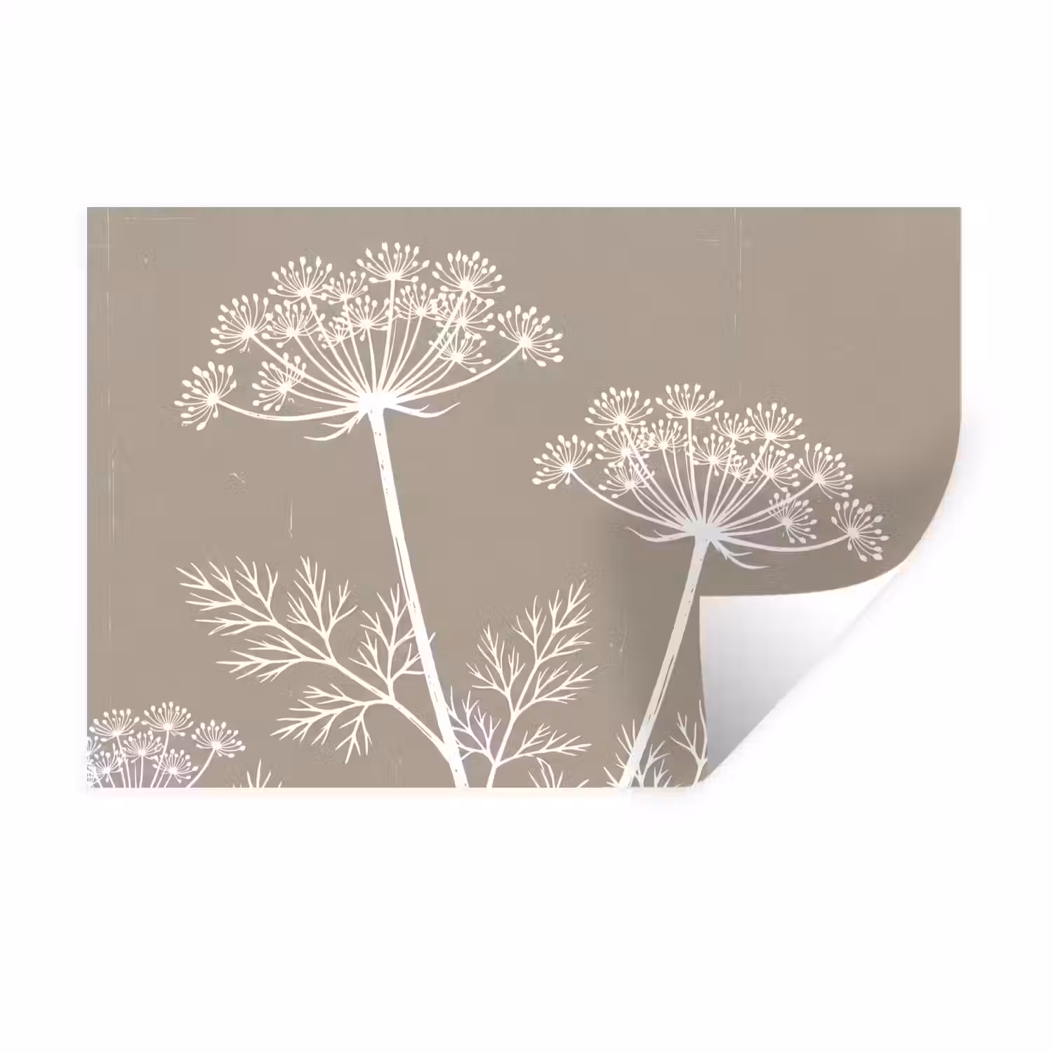 Grafisch - Fluitenkruid - Taupe Muursticker klein -3d