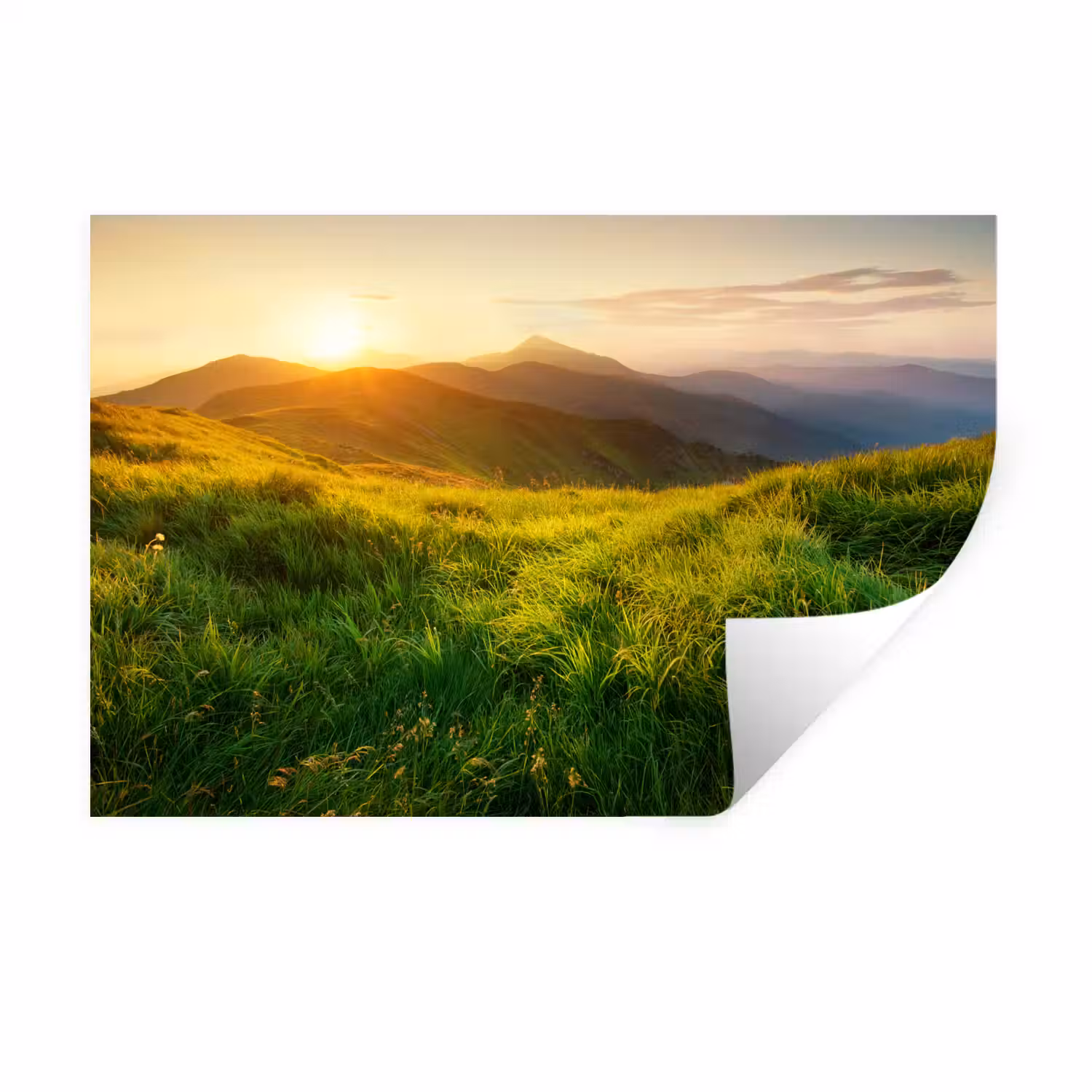 Gras - Heuvels - Zon - Natuur - Landschap Muursticker klein -3d