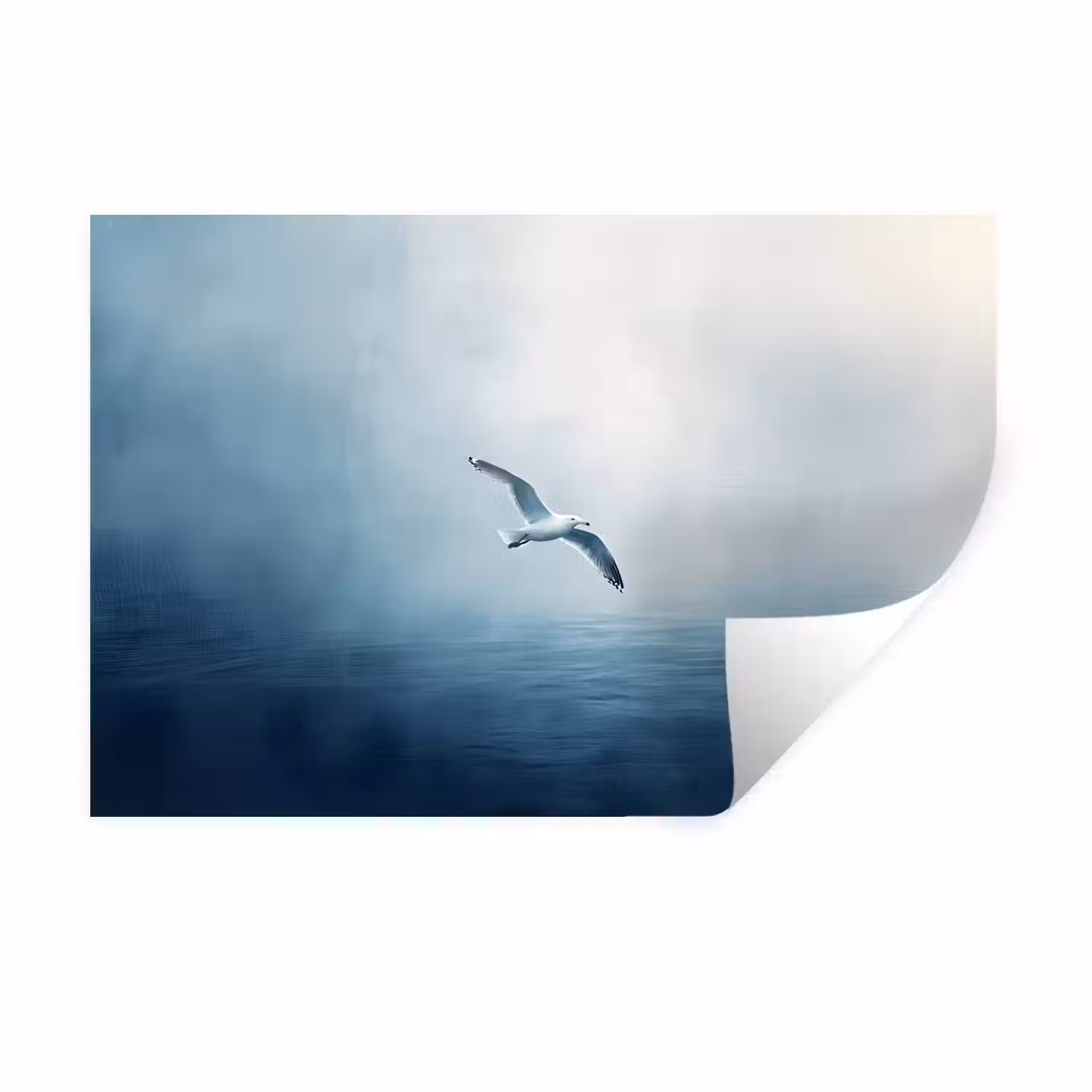 Meeuw - Wit - Zee - Mistig Muursticker klein -3d