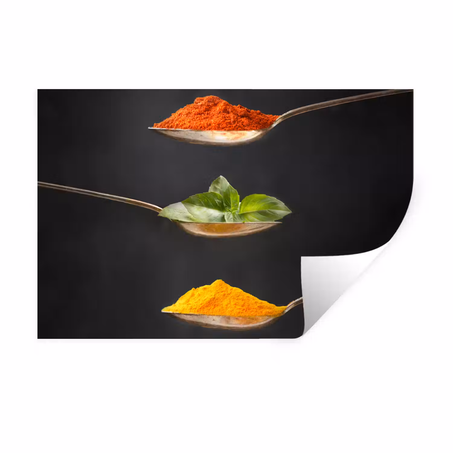 Kruiden - Lepel - Specerijen - Zwart - Italiaans Muursticker klein -3d