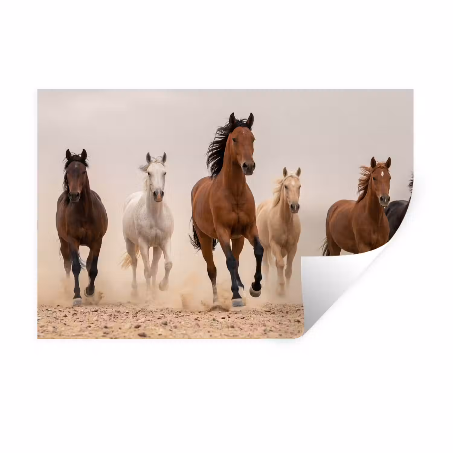 Kudde paarden - Stofwolk - Bruin - Zwart Muursticker klein -3d