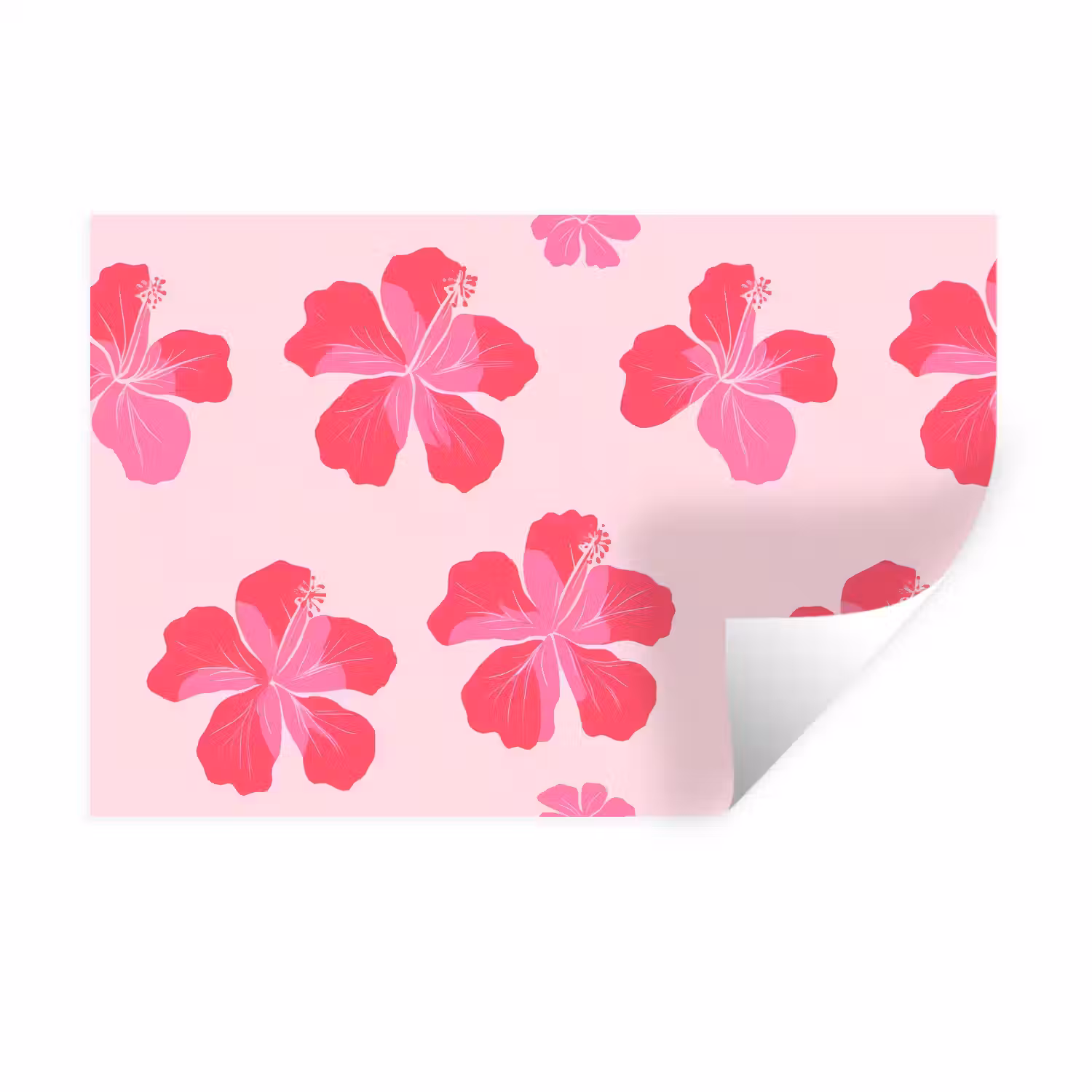 Hibiscus - Bloemen - Roze Muursticker klein 286 -3d