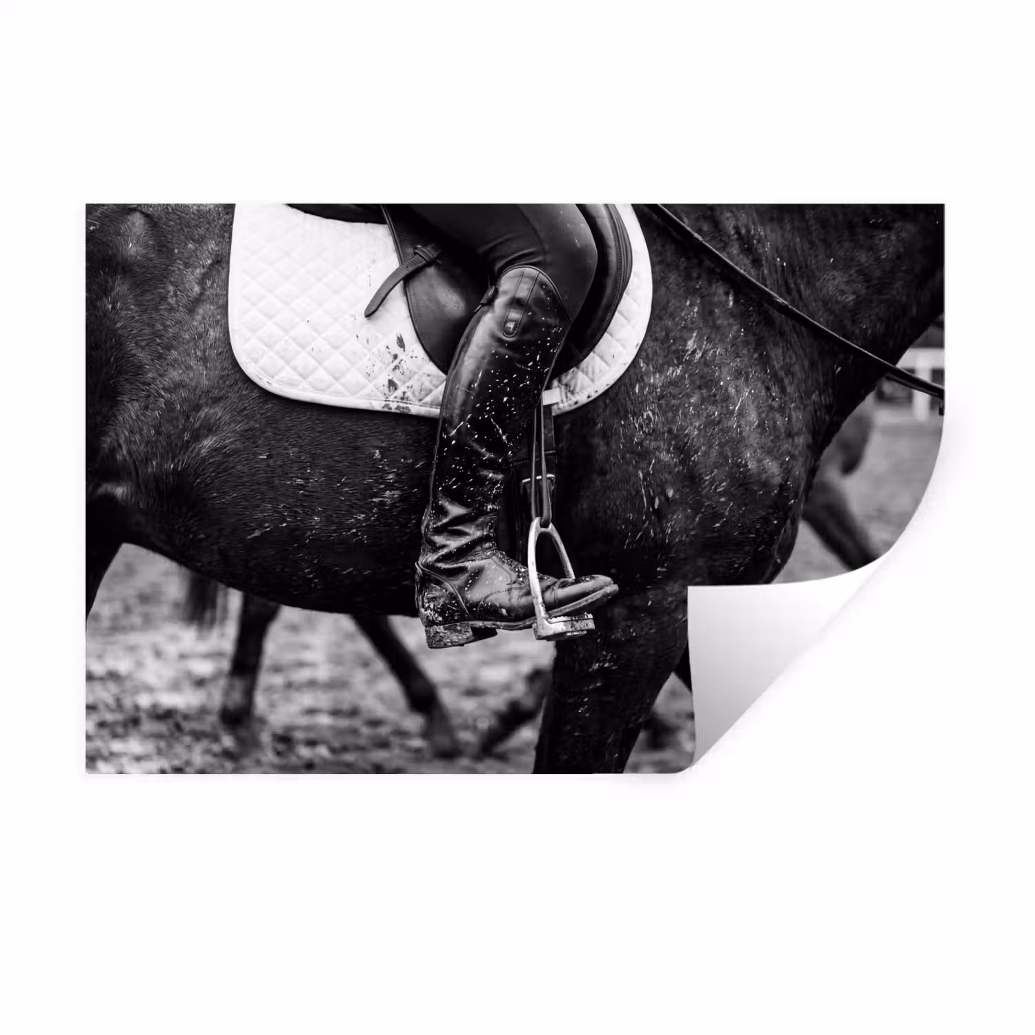 Paard - Sport - Zwart - Wit Muursticker klein -3d
