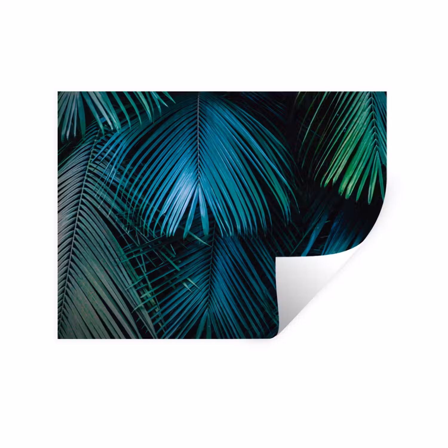 Inductie mat - Jungle - Inductie beschermer - Palmblad - Natuur Muursticker klein -3d