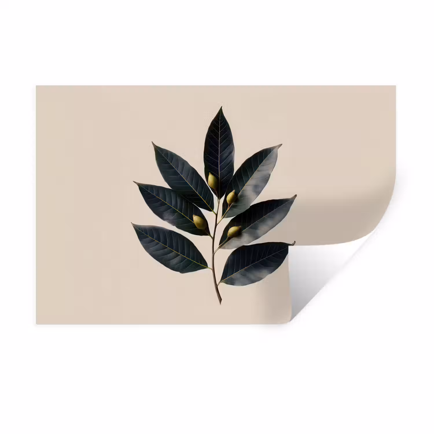 Laurierbladeren - Bloemknoppen - subtiel Muursticker klein -3d