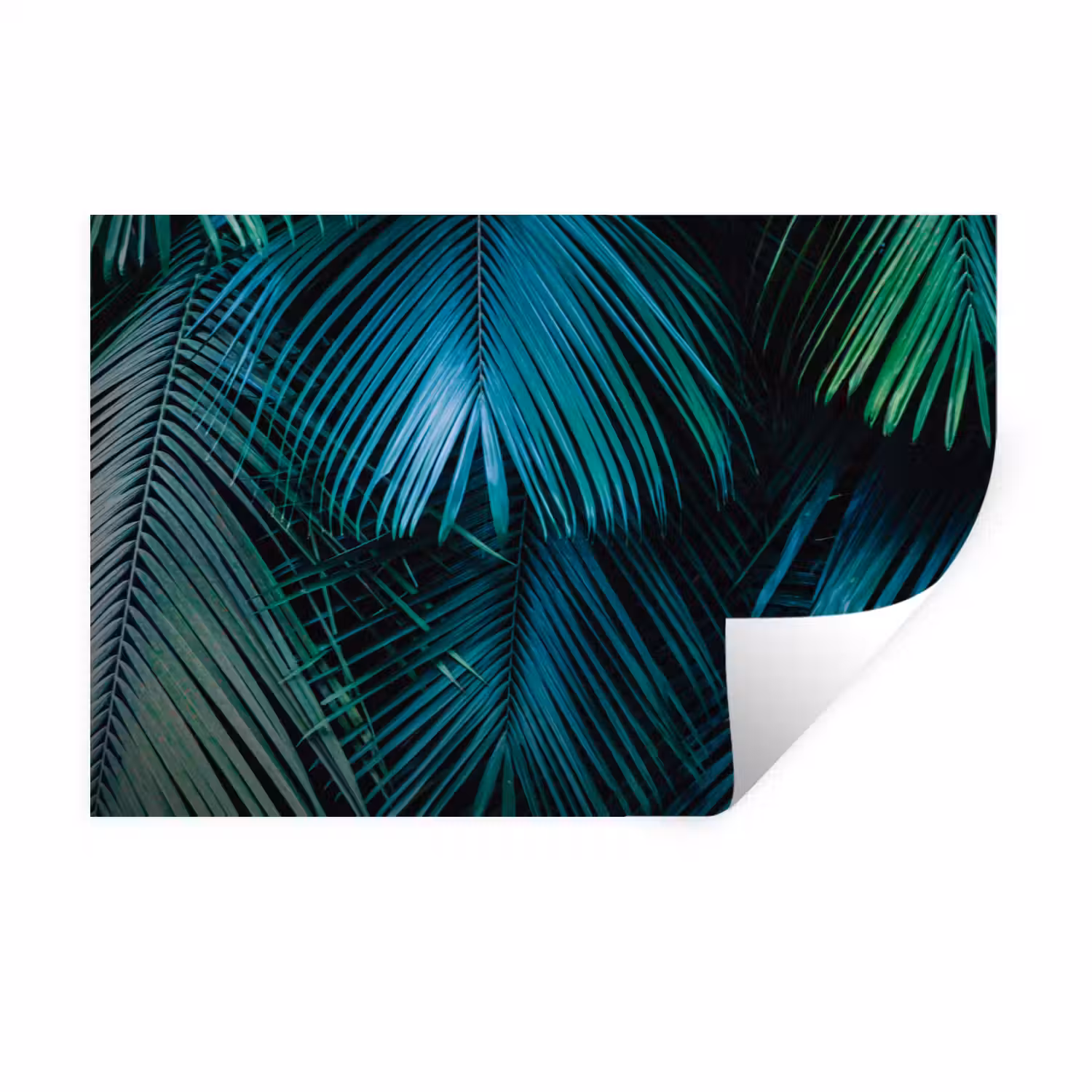 Bladeren - Tropisch - Jungle Muursticker klein -3d