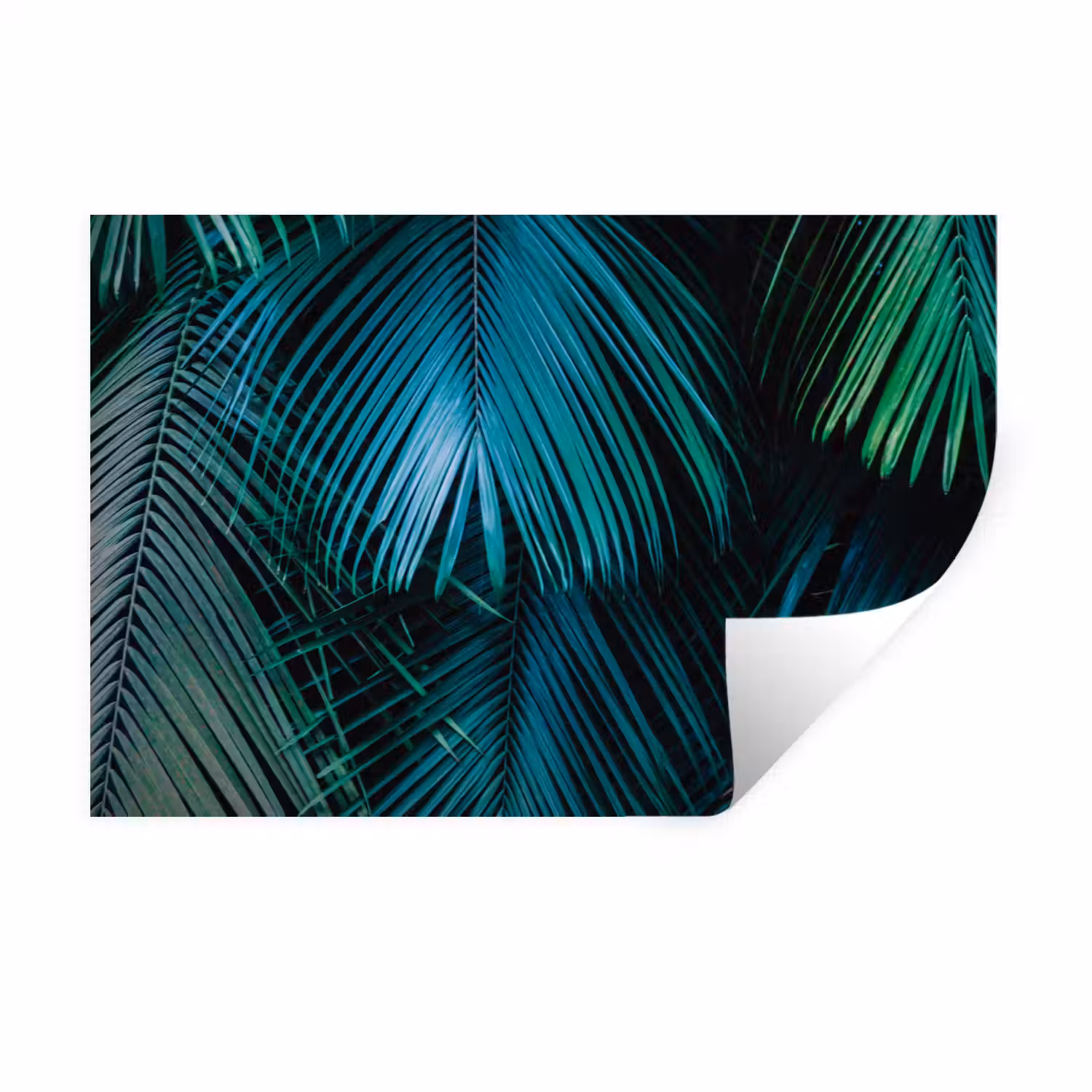 Bladeren - Tropisch - Jungle - Natuur Muursticker klein -3d