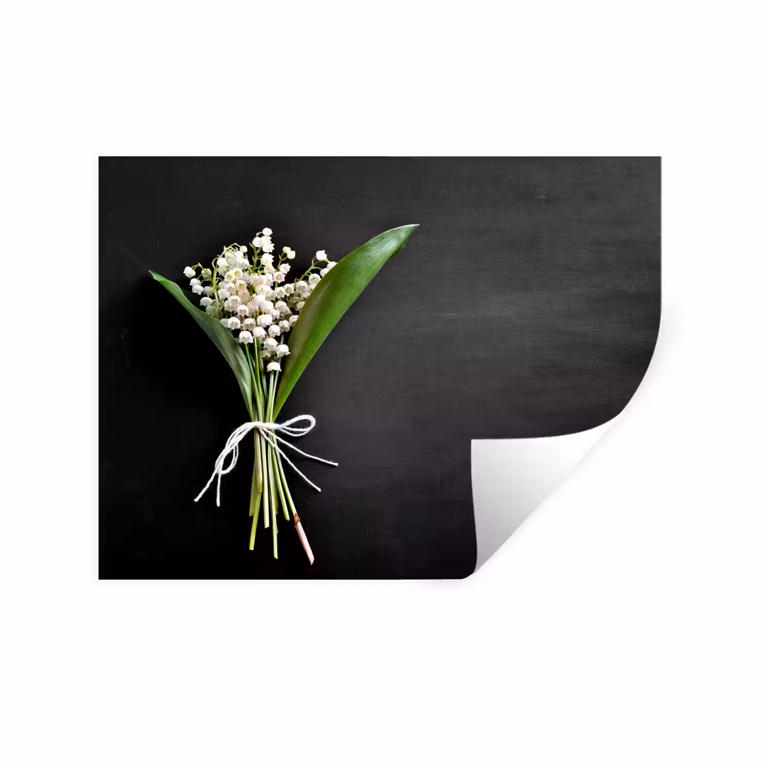 bloemen-5-1-1 Muursticker klein -3d