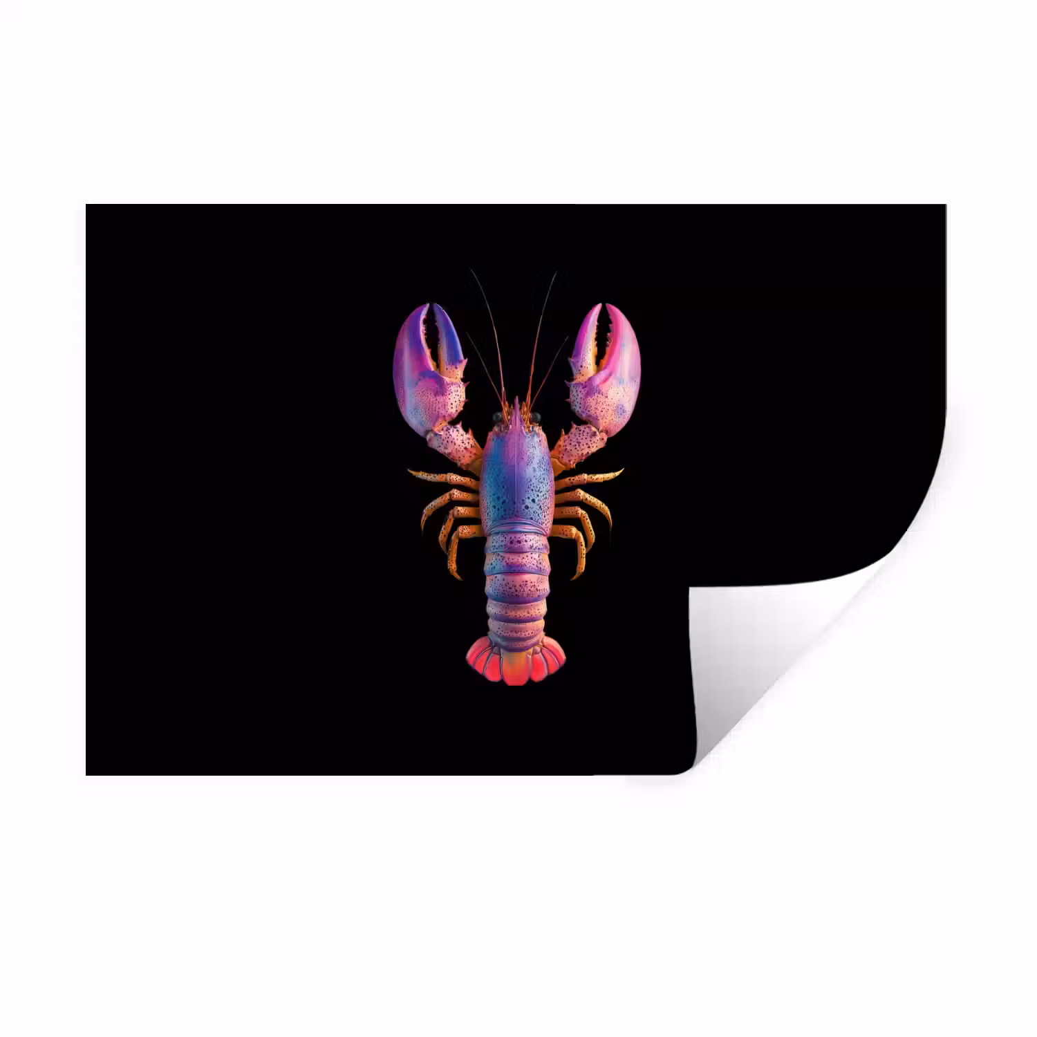 Kreeft - Paars - Roze - Zwart - Stippen - Lila Muursticker klein -3d