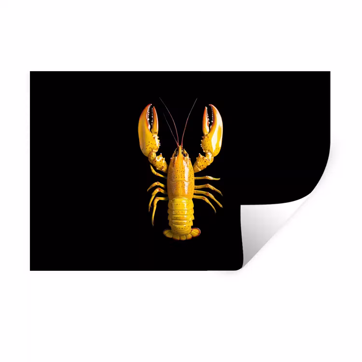 Kreeft - Geel - Stippen - Effen Muursticker klein -3d