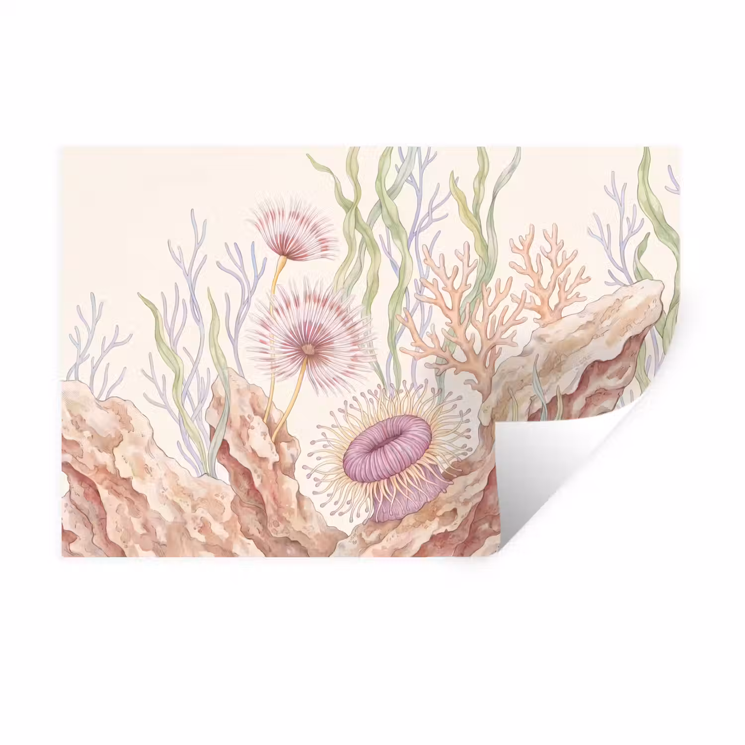 Zeeleven - Koraal - Onderwater - Illustratie - Kleurrijk Muursticker klein -3d