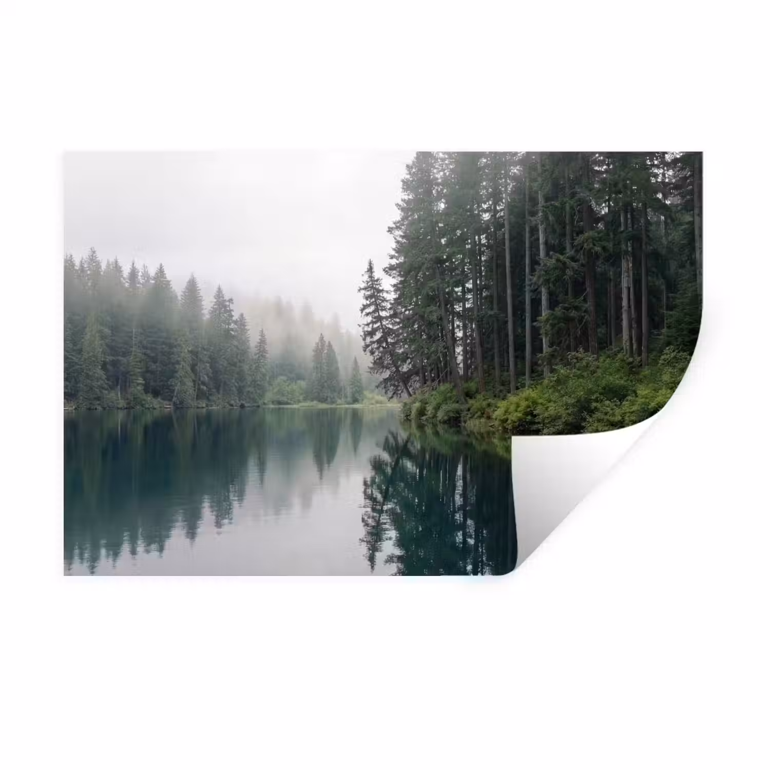 Bergen - Meer - Bos Muursticker klein -3d