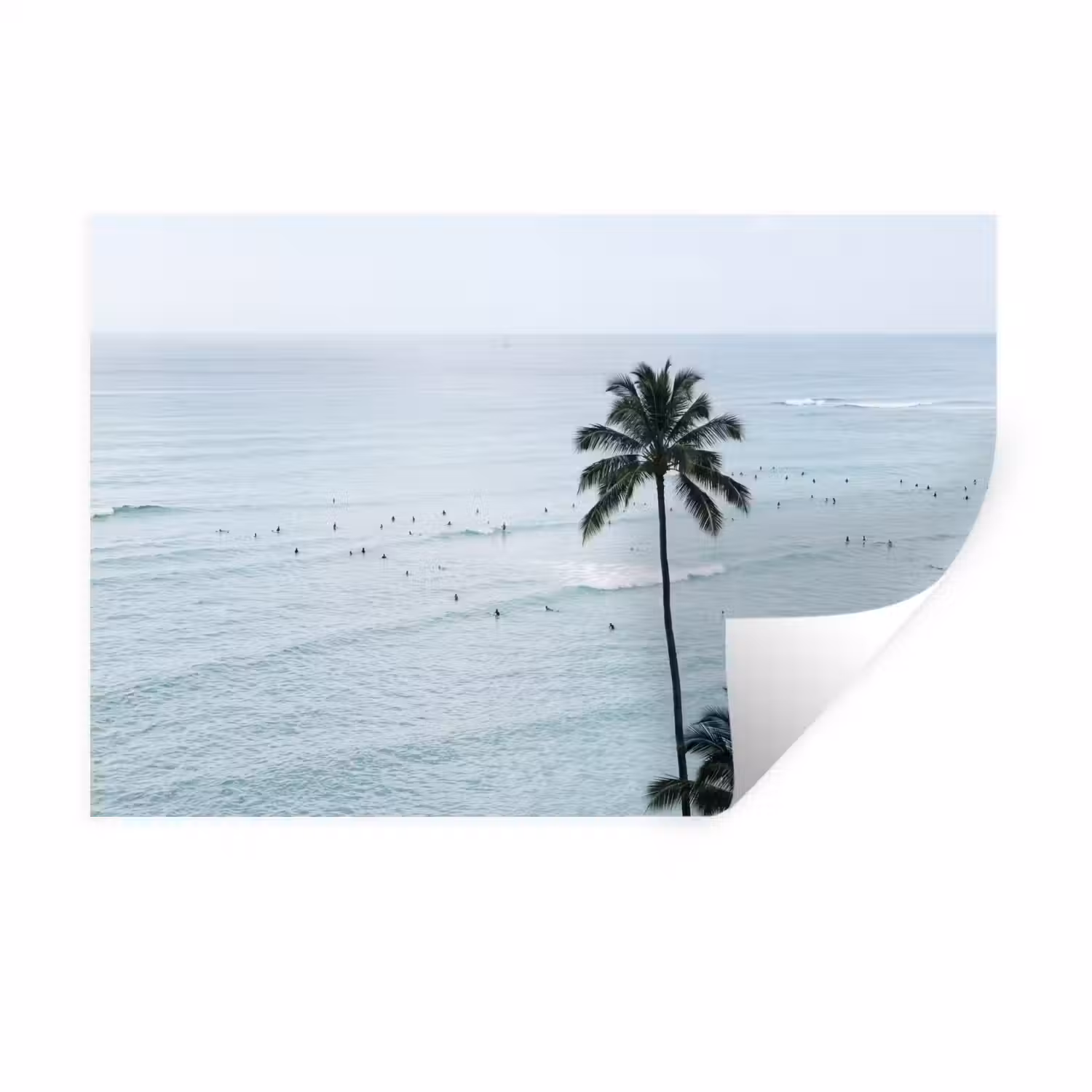 Oceaan - Palmbomen - Surfers Muursticker klein -3d