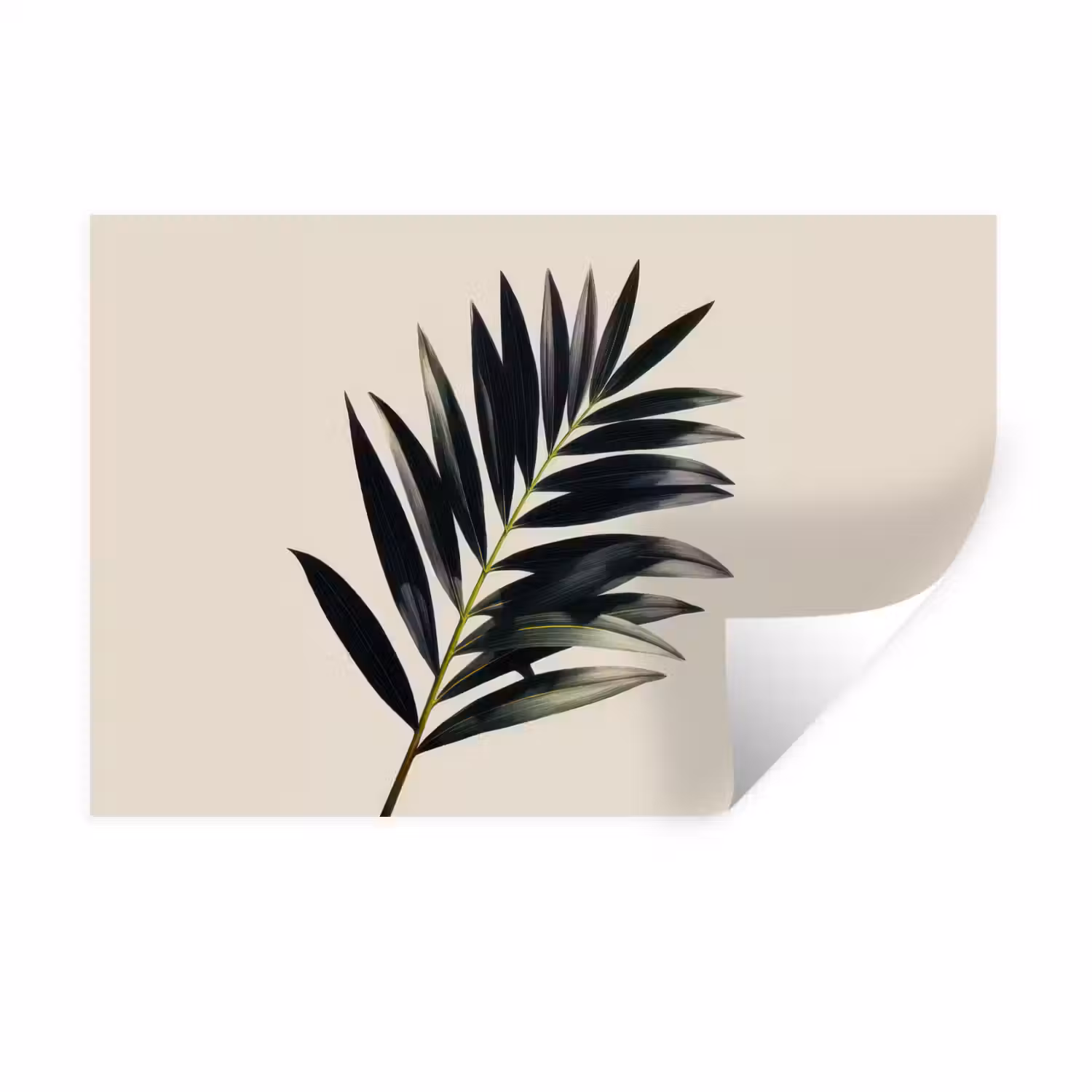 Palmblad - Subtiel - Groen - beige Muursticker klein -3d