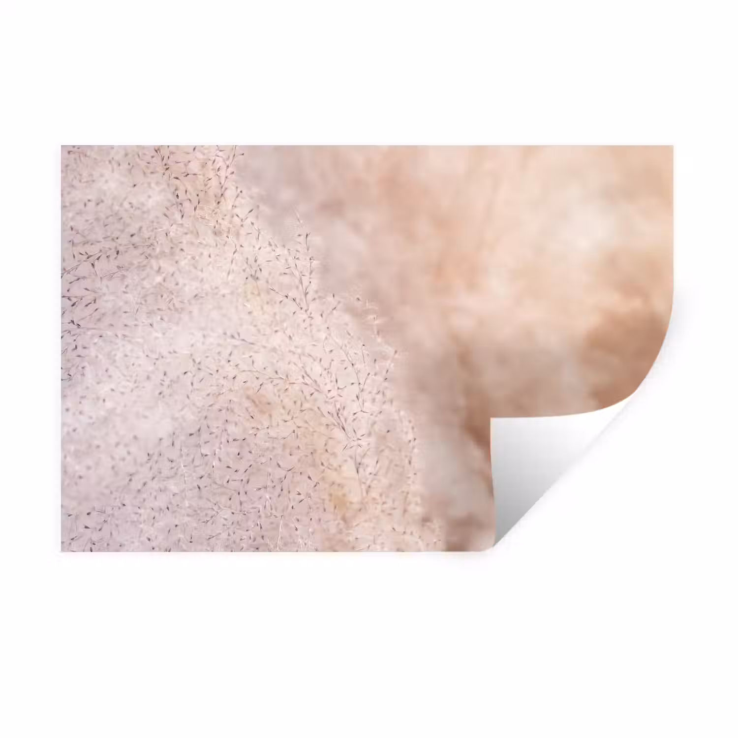 Pampagras met een zachte structuur uit de natuur Muursticker klein -3d