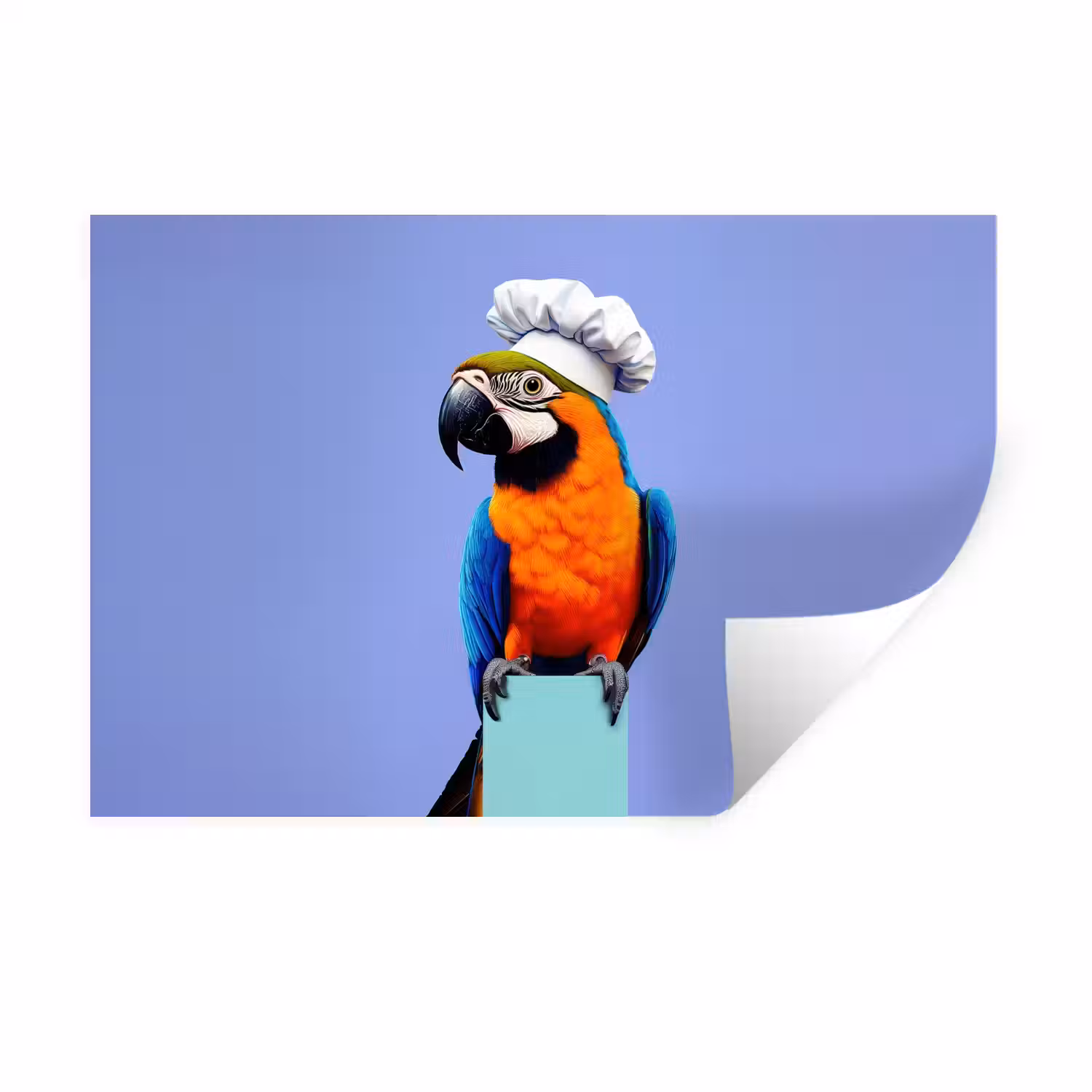 Papegaai - Koksmuts - Vogel - Leuk Muursticker klein -3d