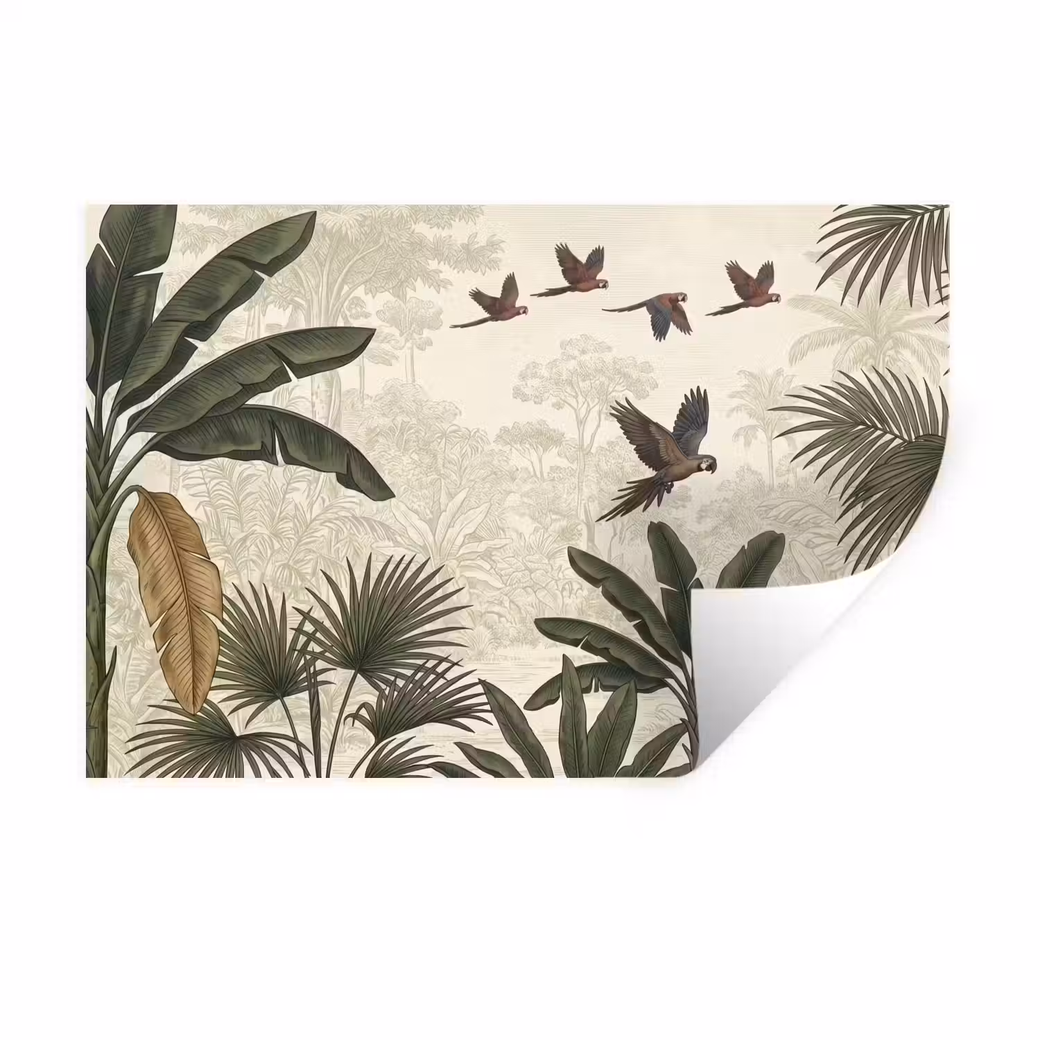 Papagaaien - Jungle - Tropisch - Green Muursticker klein -3d