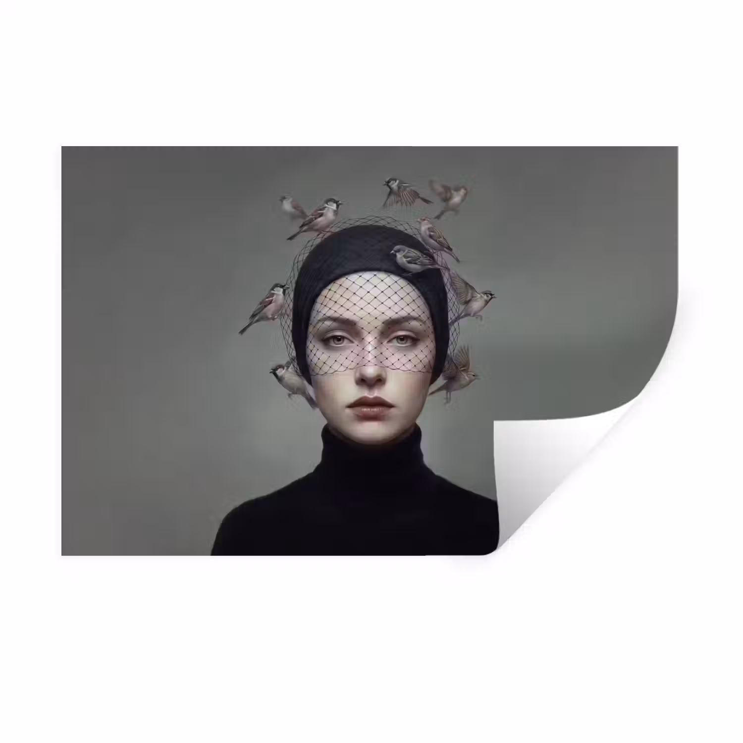 Portret - Vogels - Zwart Muursticker klein -3d
