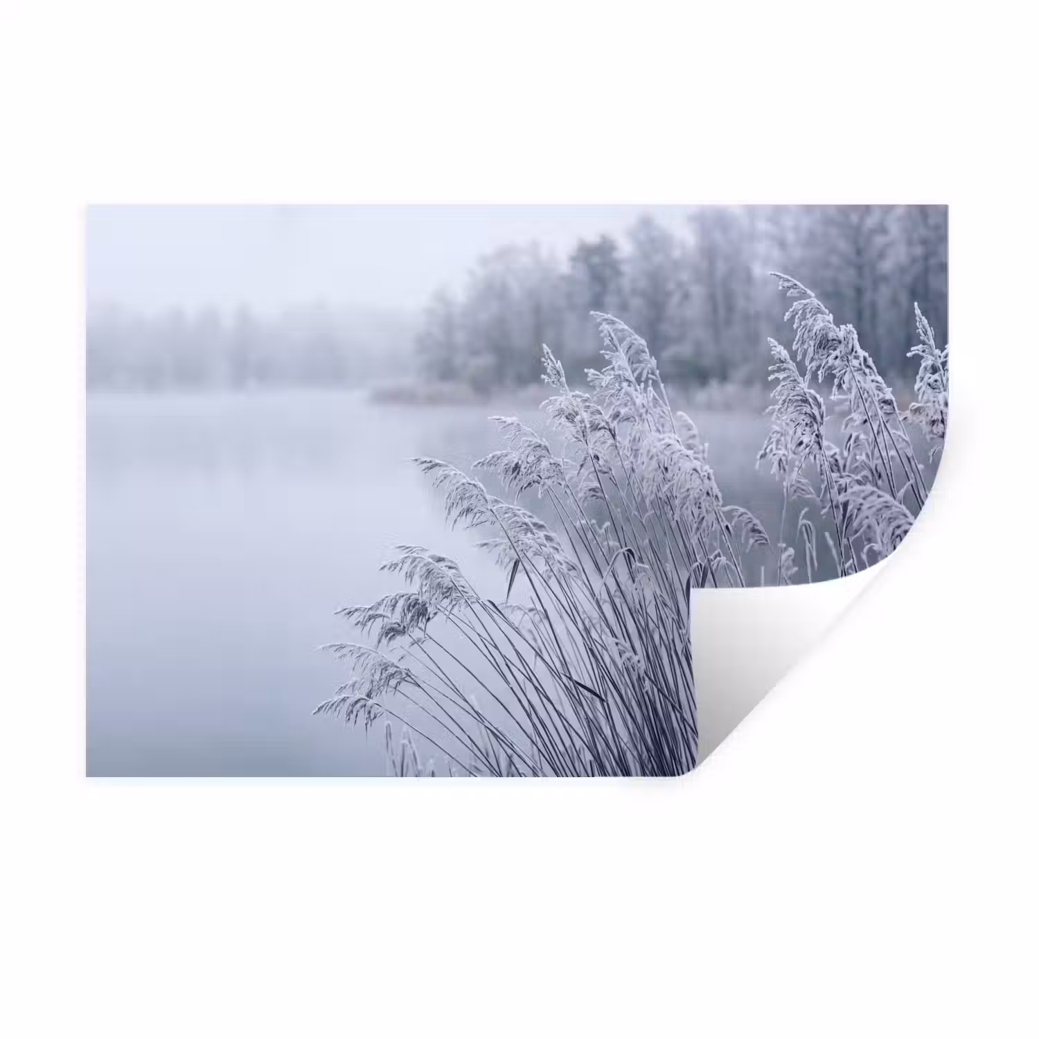 Riet - Bevroren - Winter - Natuur Muursticker klein -3d