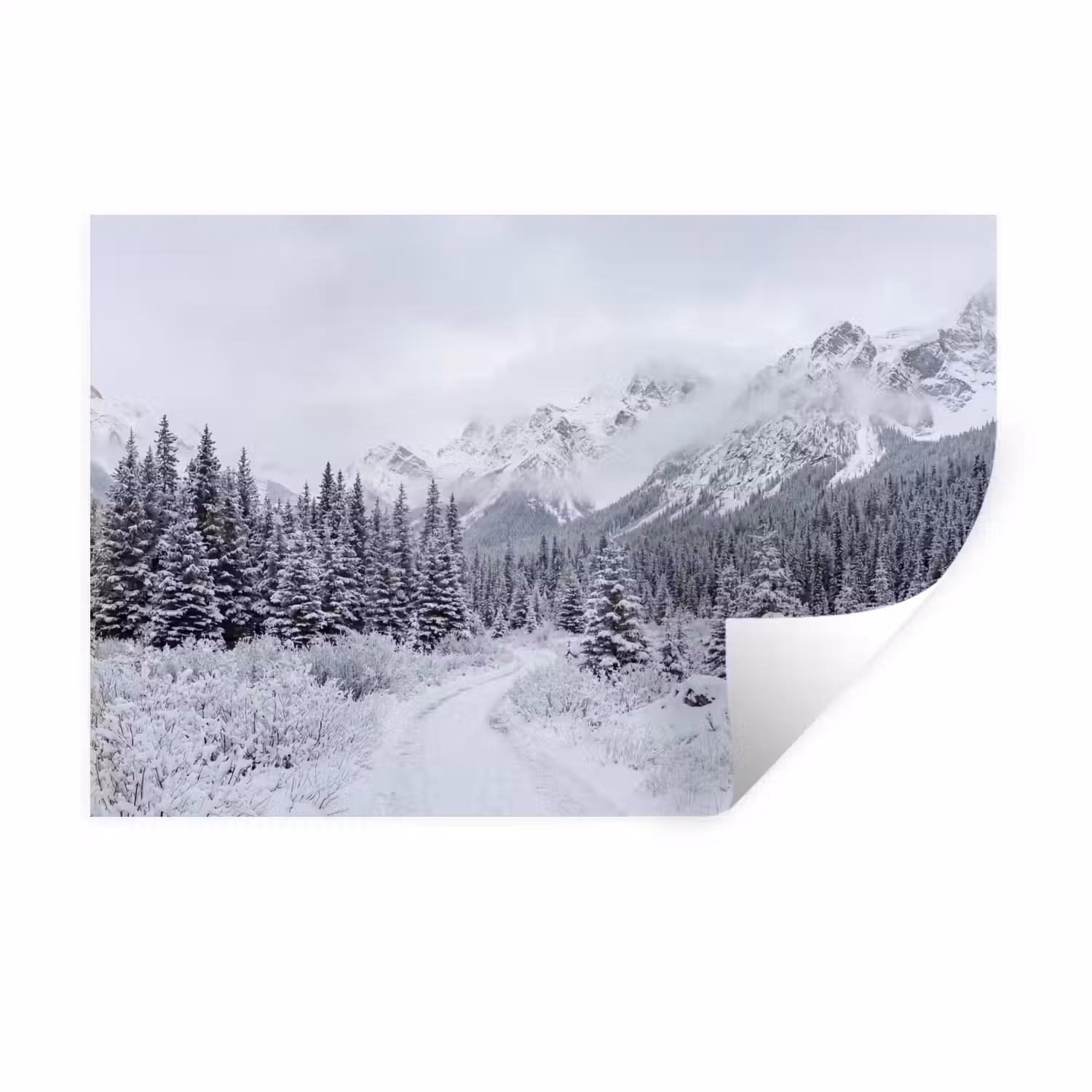 Weg - Bergen - Sneeuw - Naaldbos - Avontuurlijk Muursticker klein -3d