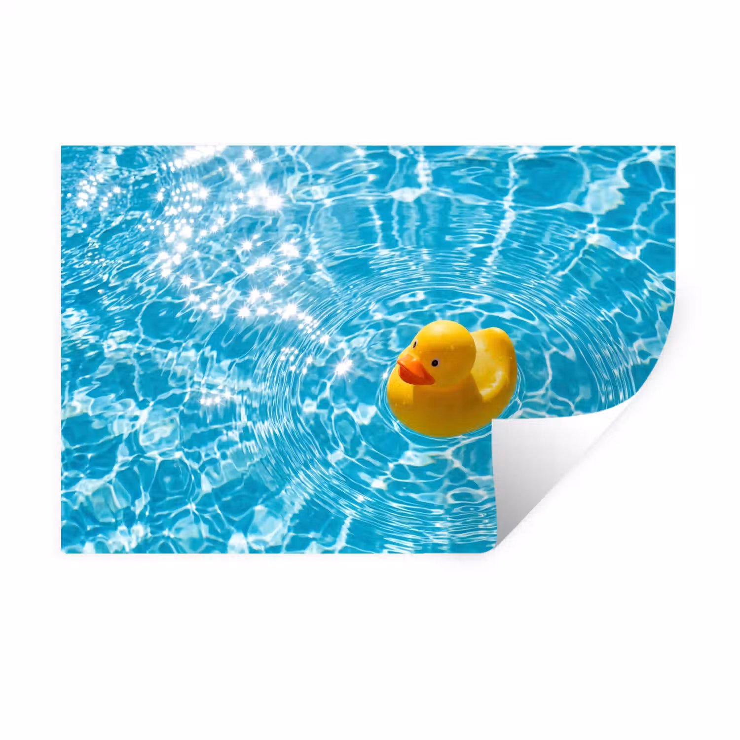 Badeend - Dobberen - Blauw Muursticker klein -3d