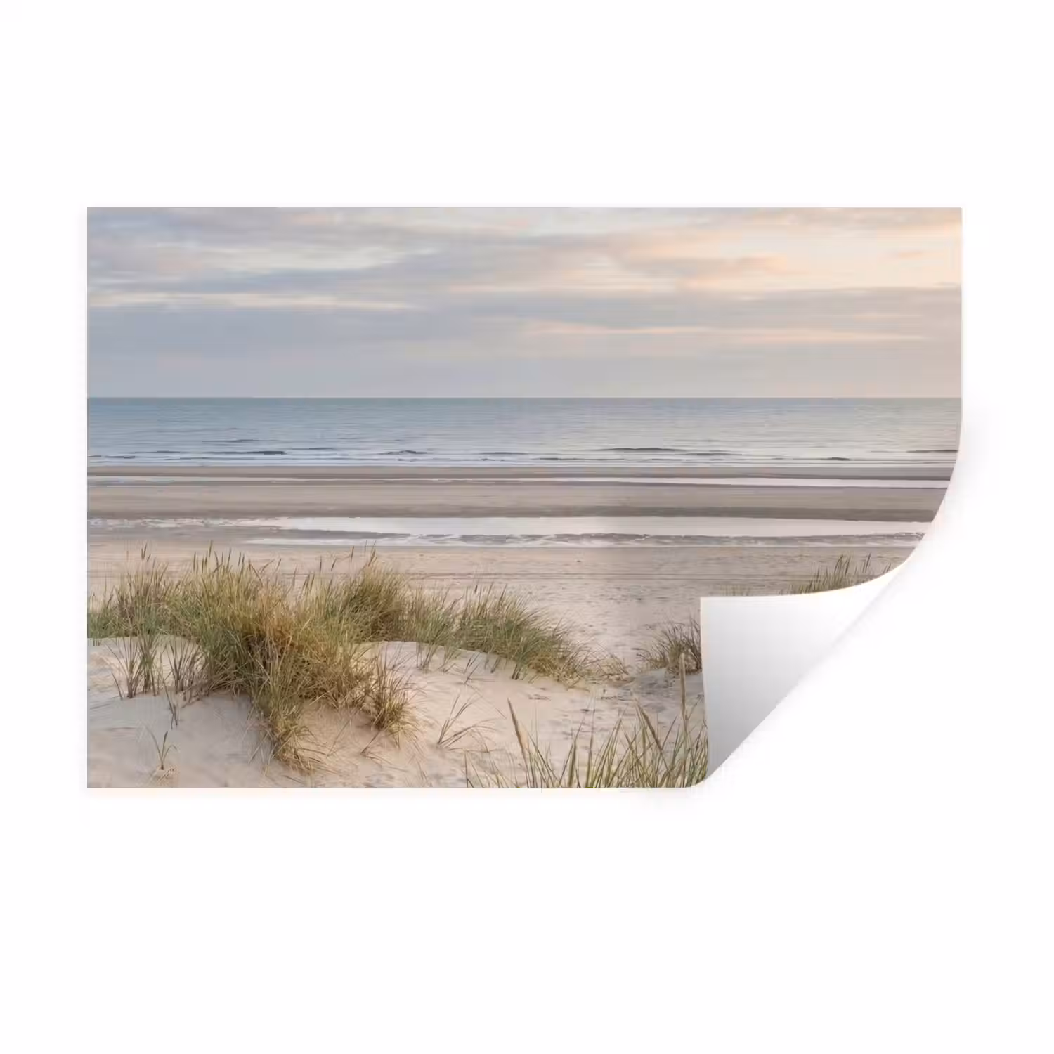 Zandstrand - Bewolkt - Duinen Muursticker klein -3d