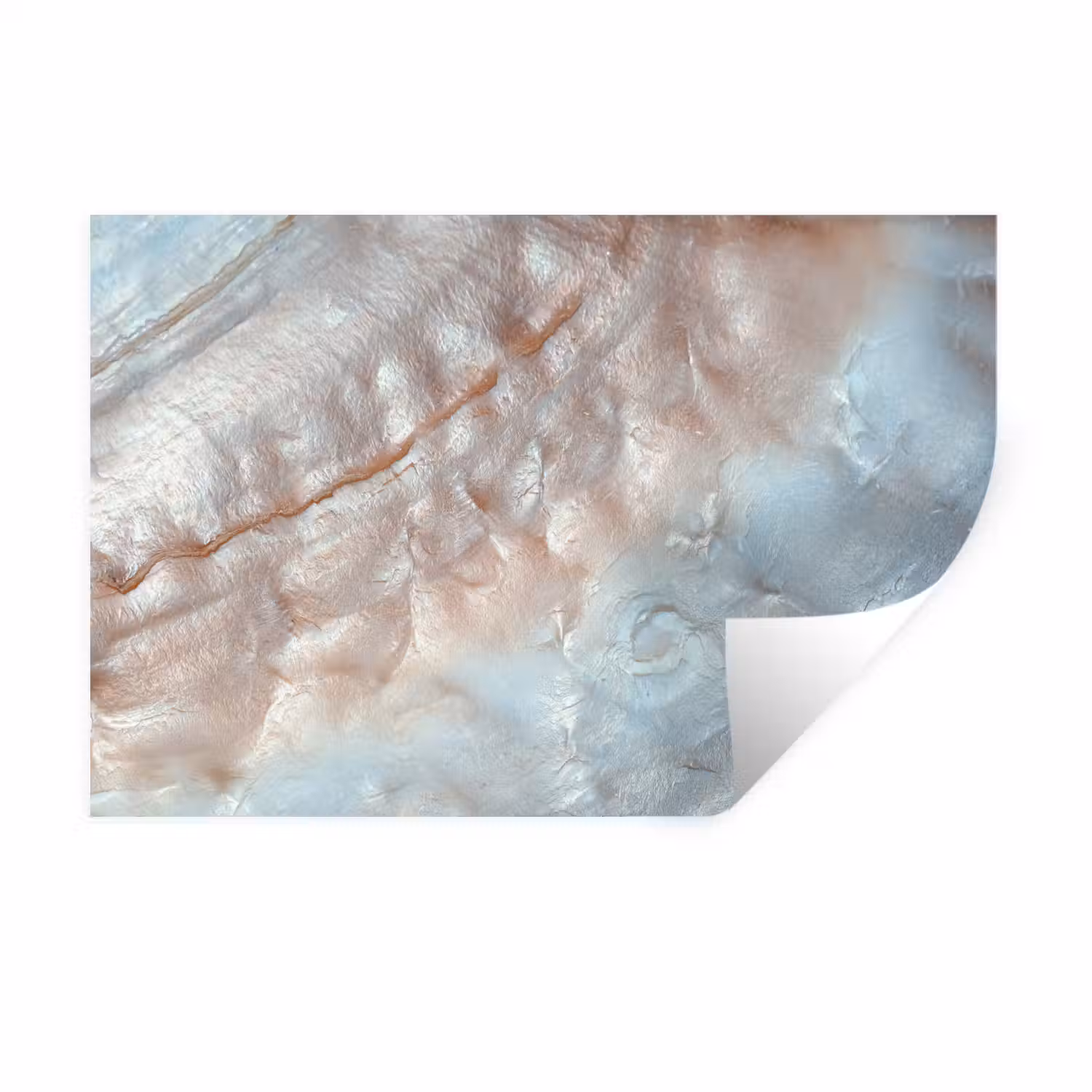 Binnenkant van een schelp uit de natuur bedekt met parelmoer Muursticker klein -3d