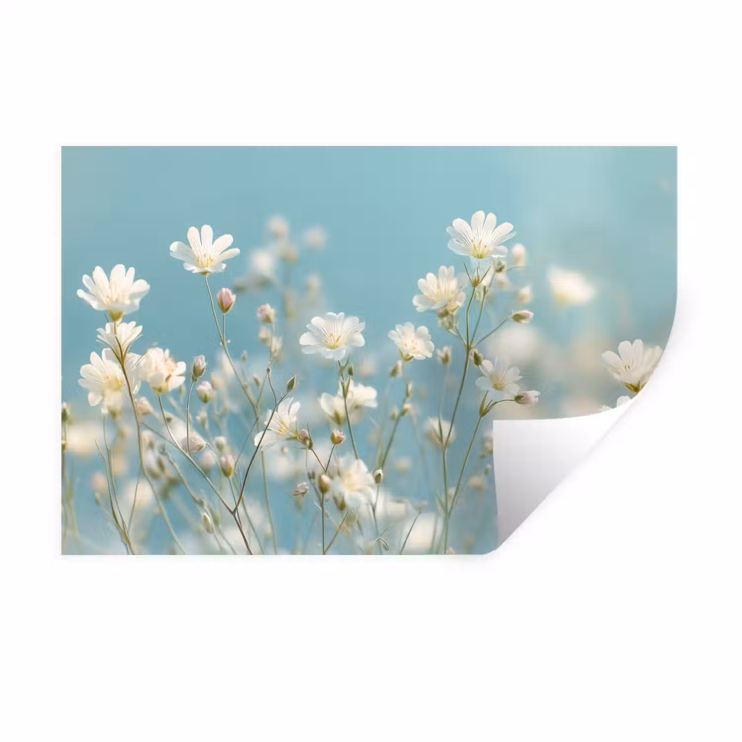Stengels - Bloemen - Lucht - Wit Muursticker klein -3d